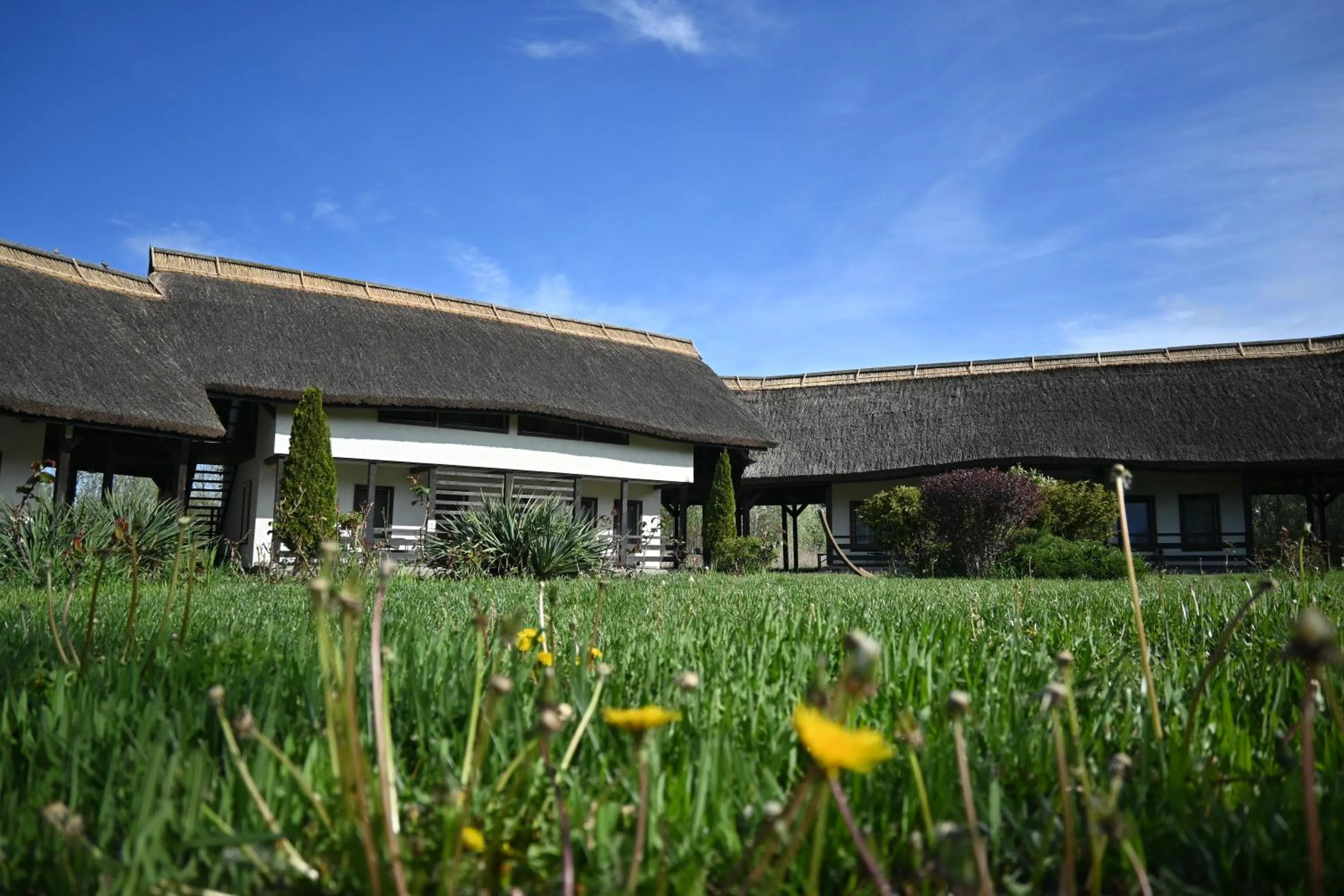 Garden view in Egreta By Hoxton