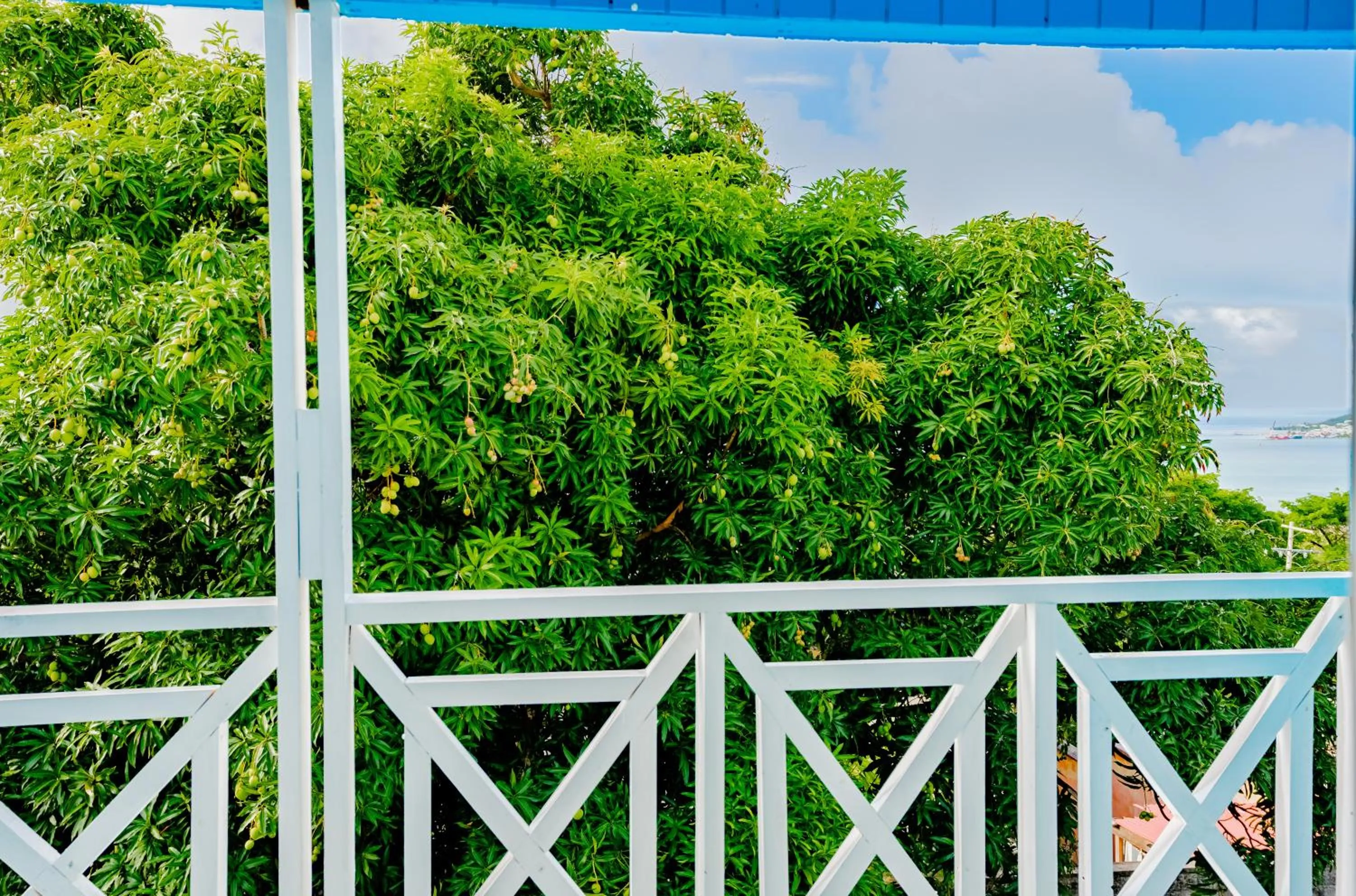 Garden view in Shamar Lodge