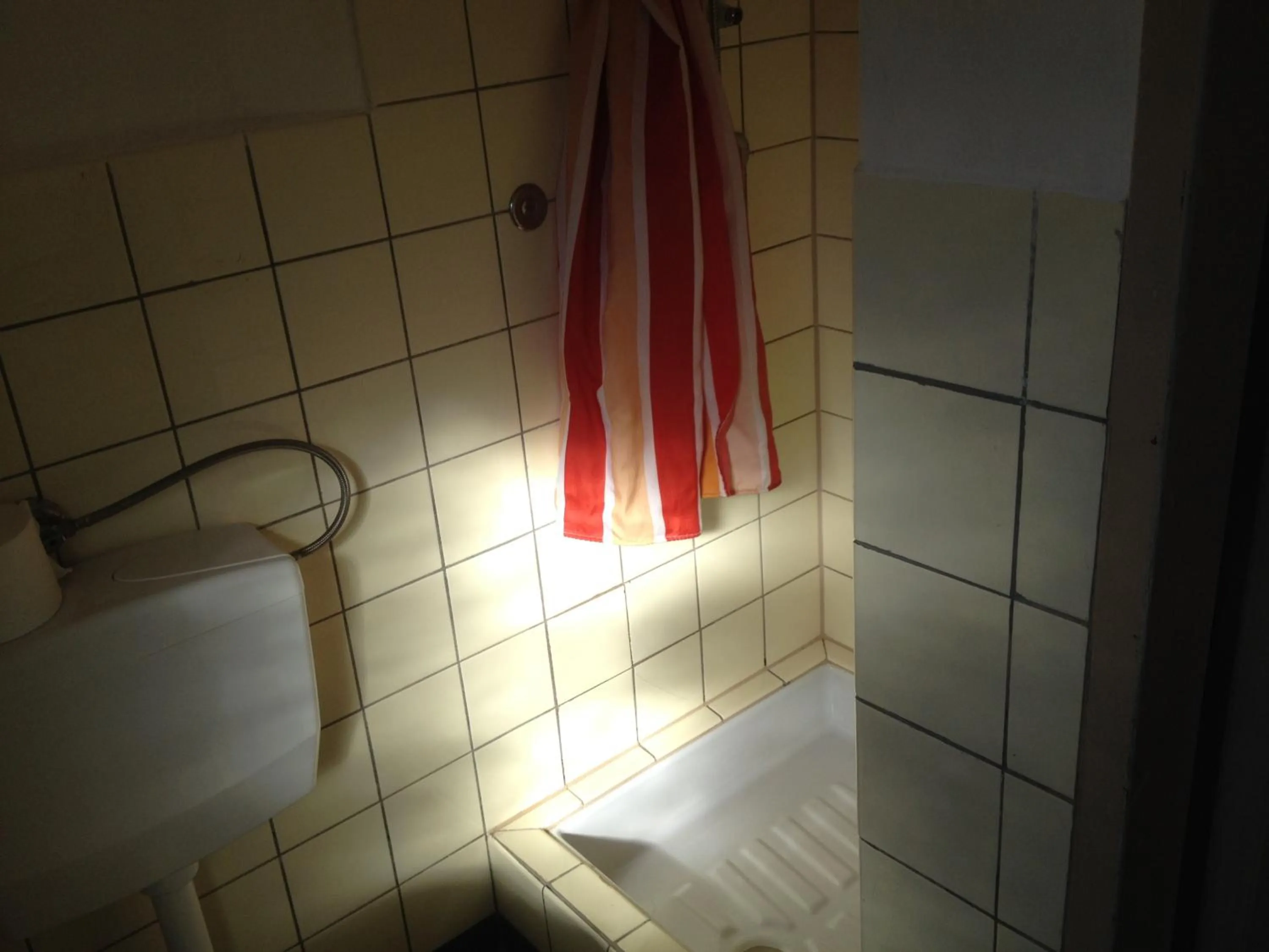 Shower in Hotel Saarland Lebach