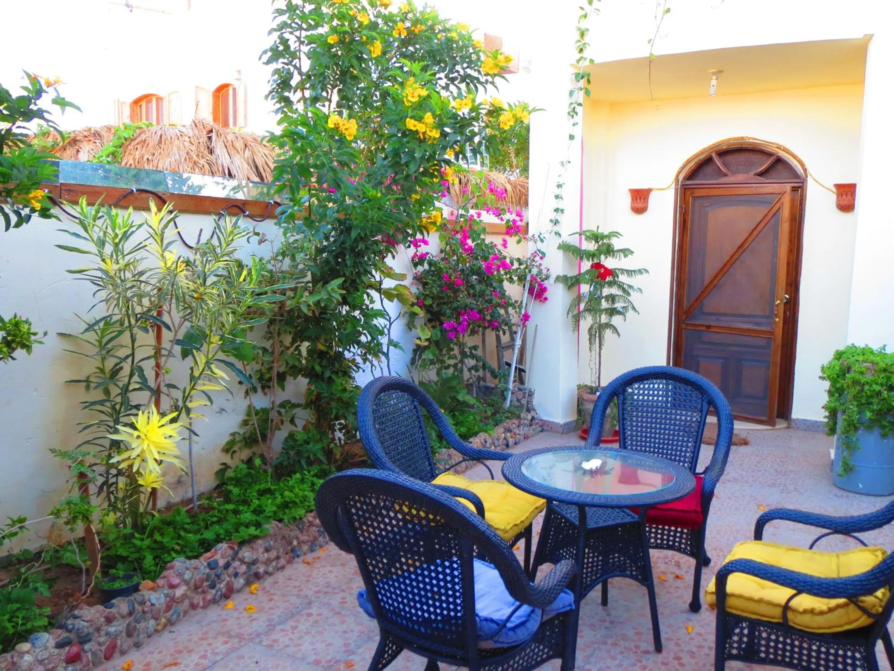 Garden in Villa Boghdady Dahab