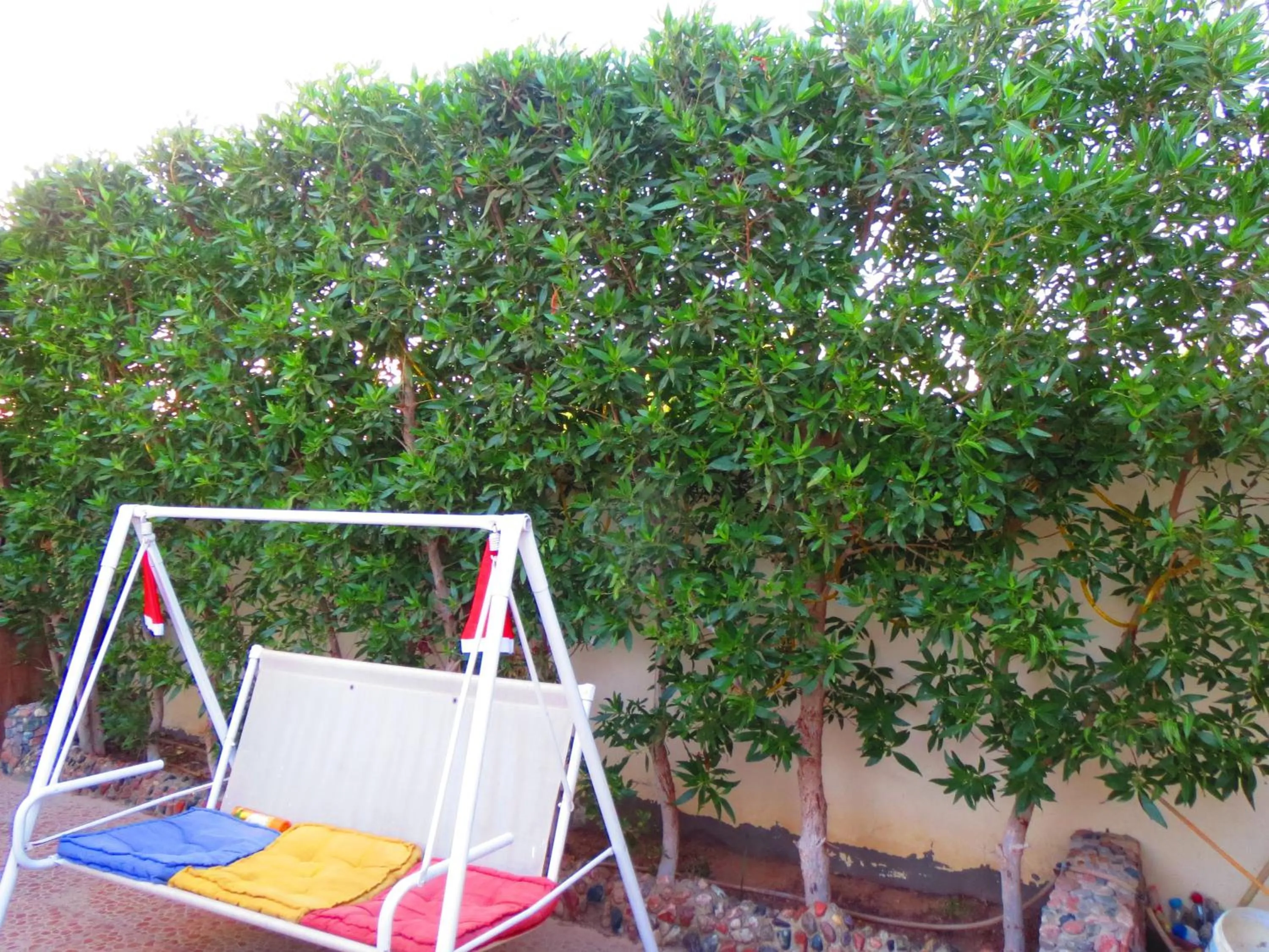 Garden in Villa Boghdady Dahab