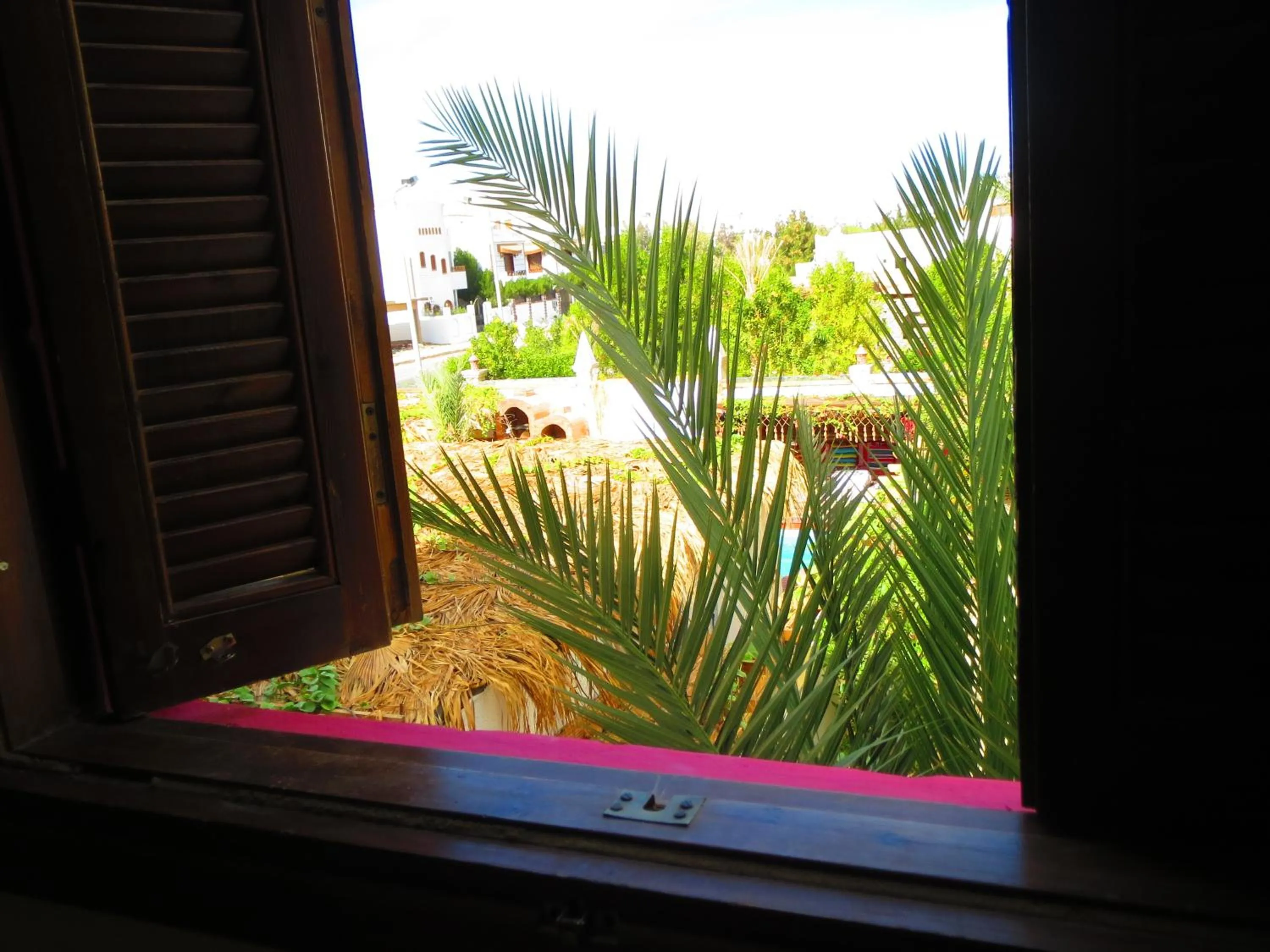 Garden view in Villa Boghdady Dahab