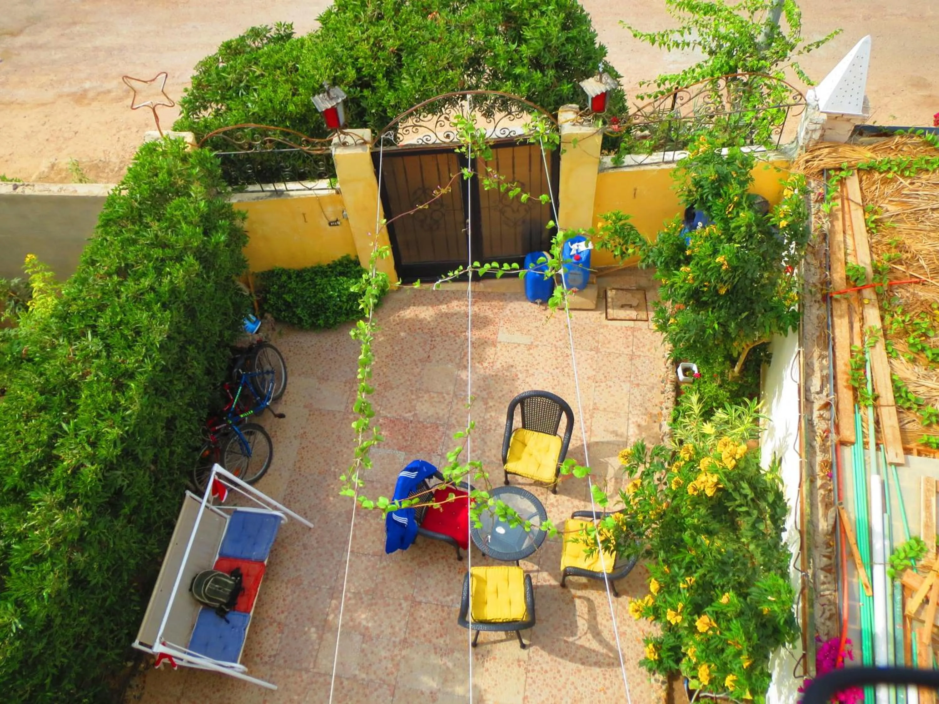 Garden view in Villa Boghdady Dahab