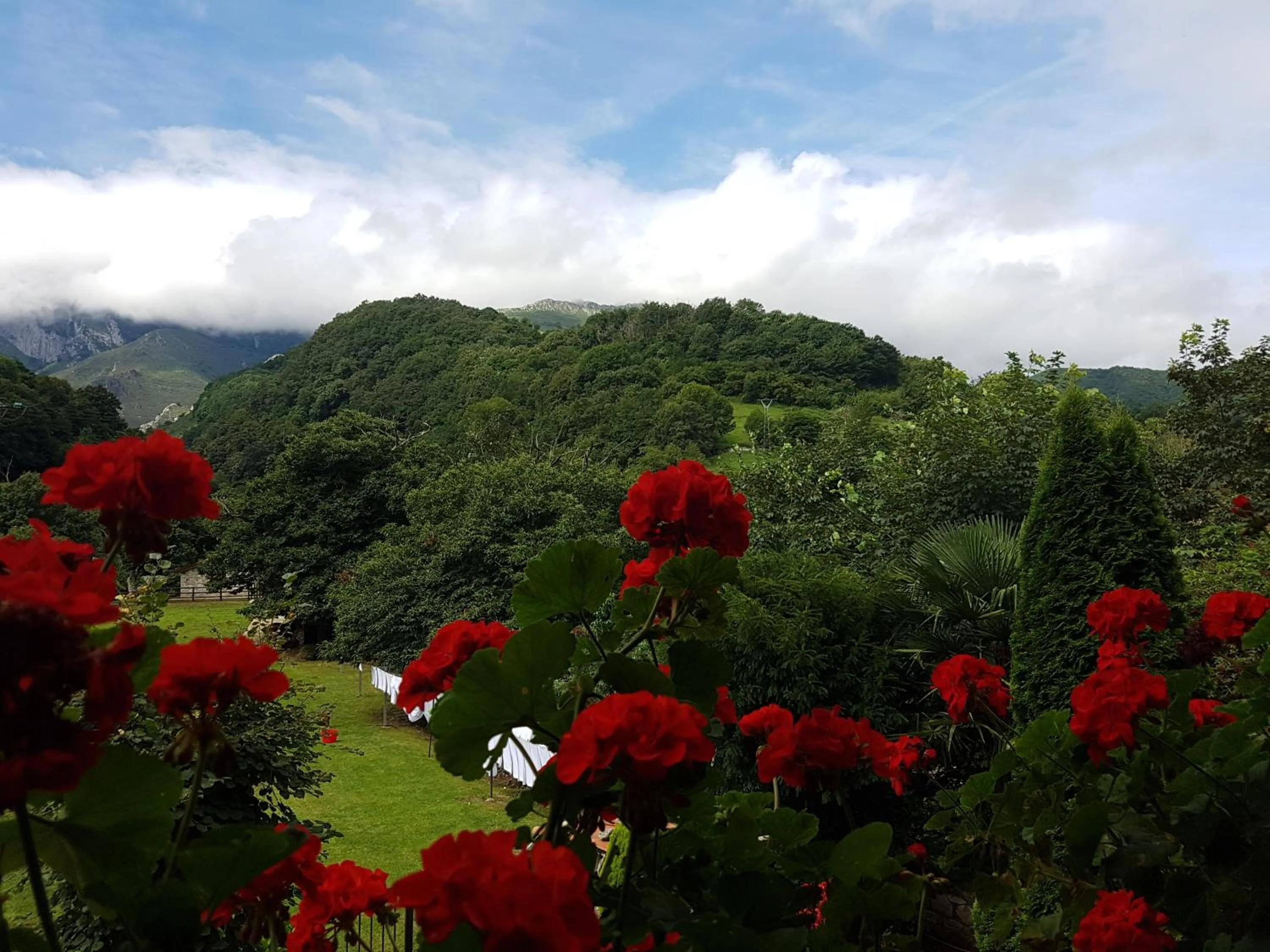 Natural landscape in Hotel Rural El Torrejon