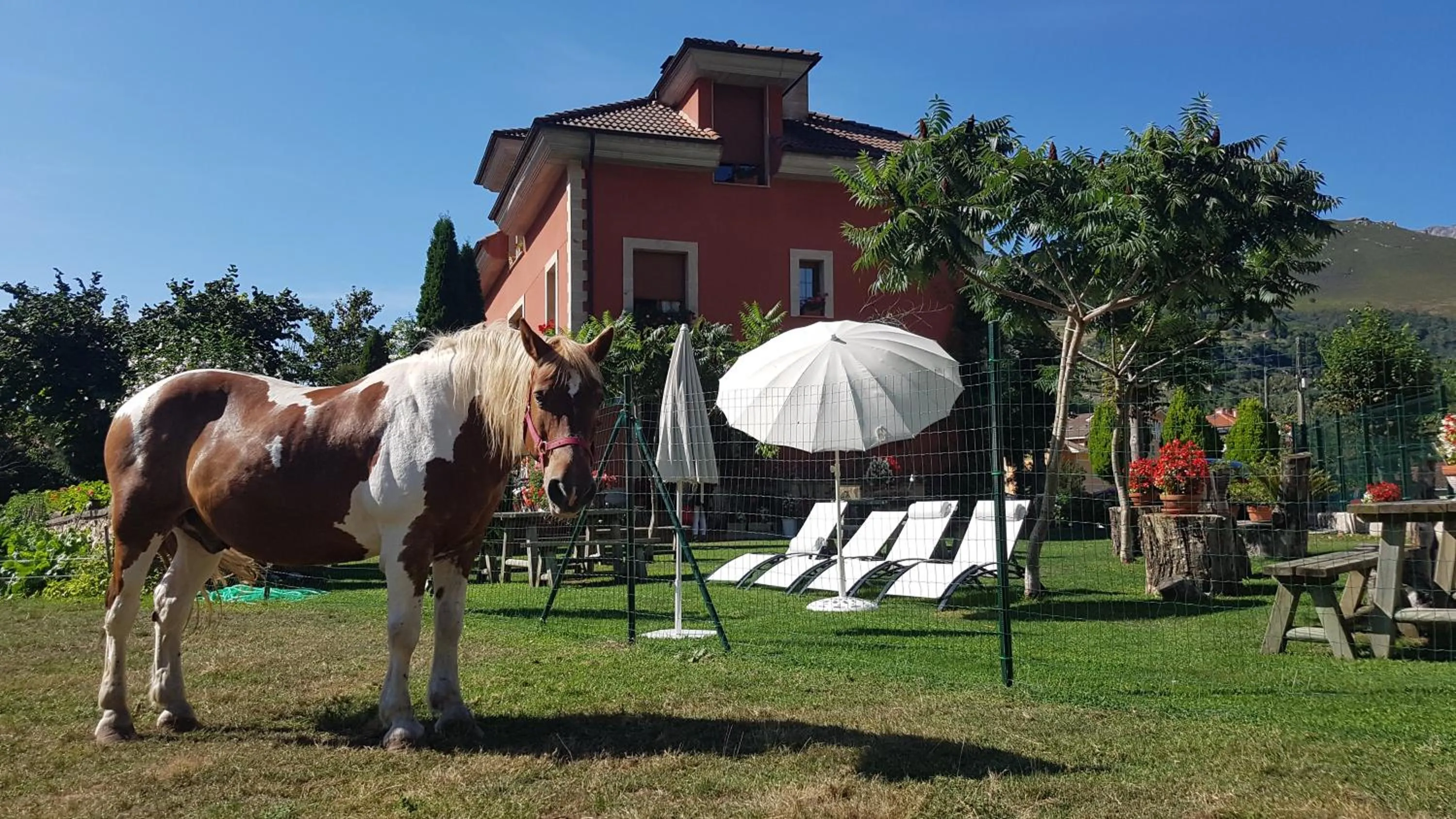 Day in Hotel Rural El Torrejon