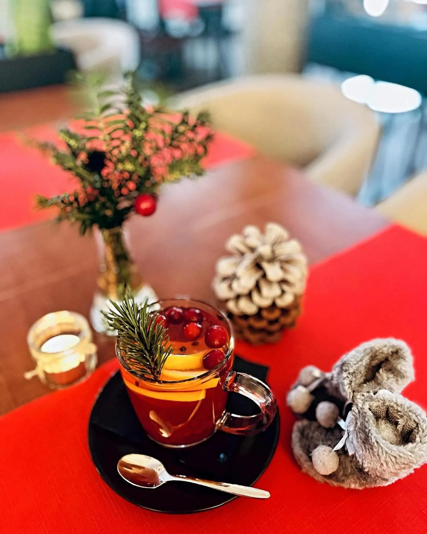 Living room in Dworzysko