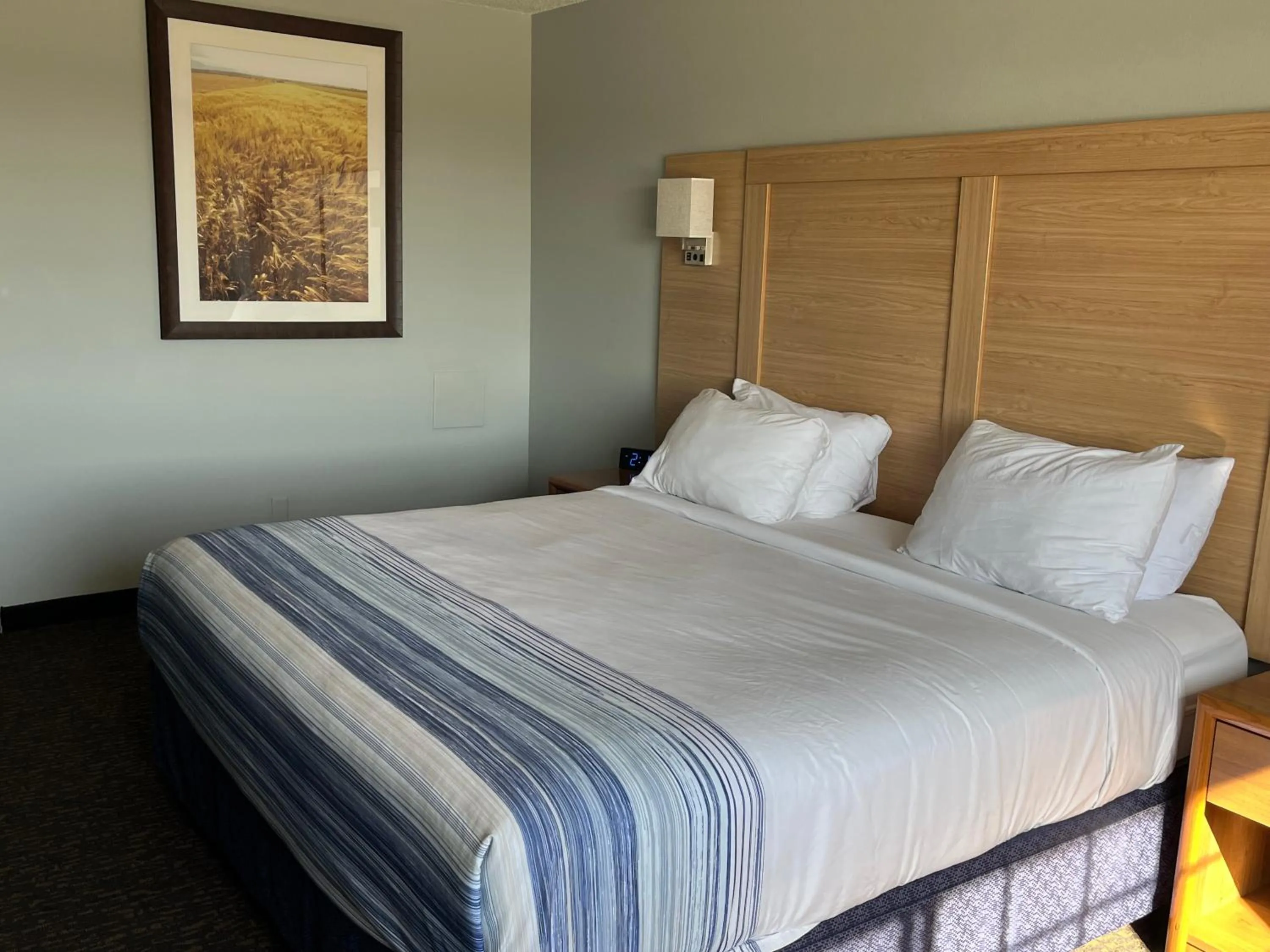 Bedroom, Bed in Days Inn & Suites by Wyndham Williamsburg IA North