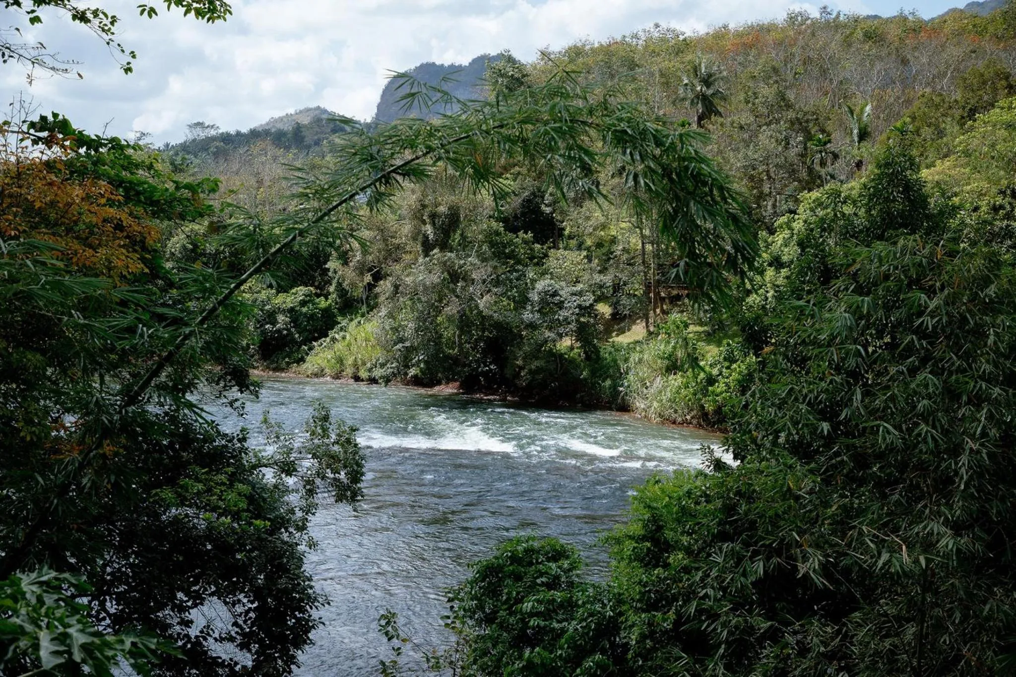 Natural landscape in Baandin Chiewlarn