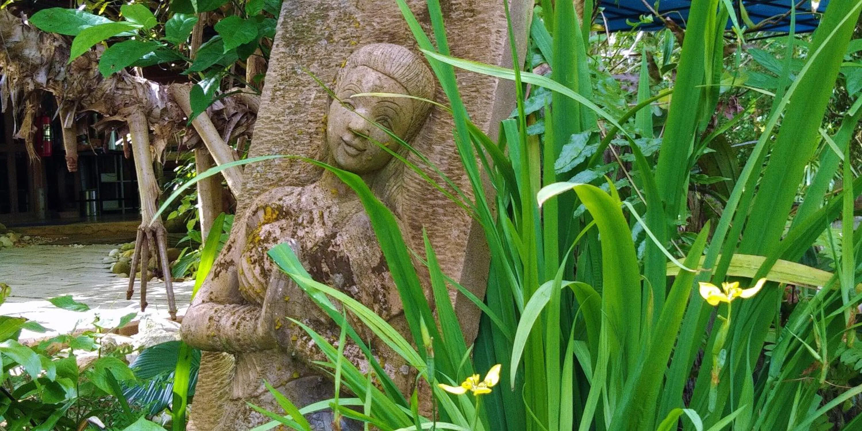 Animals in Baandin Chiewlarn