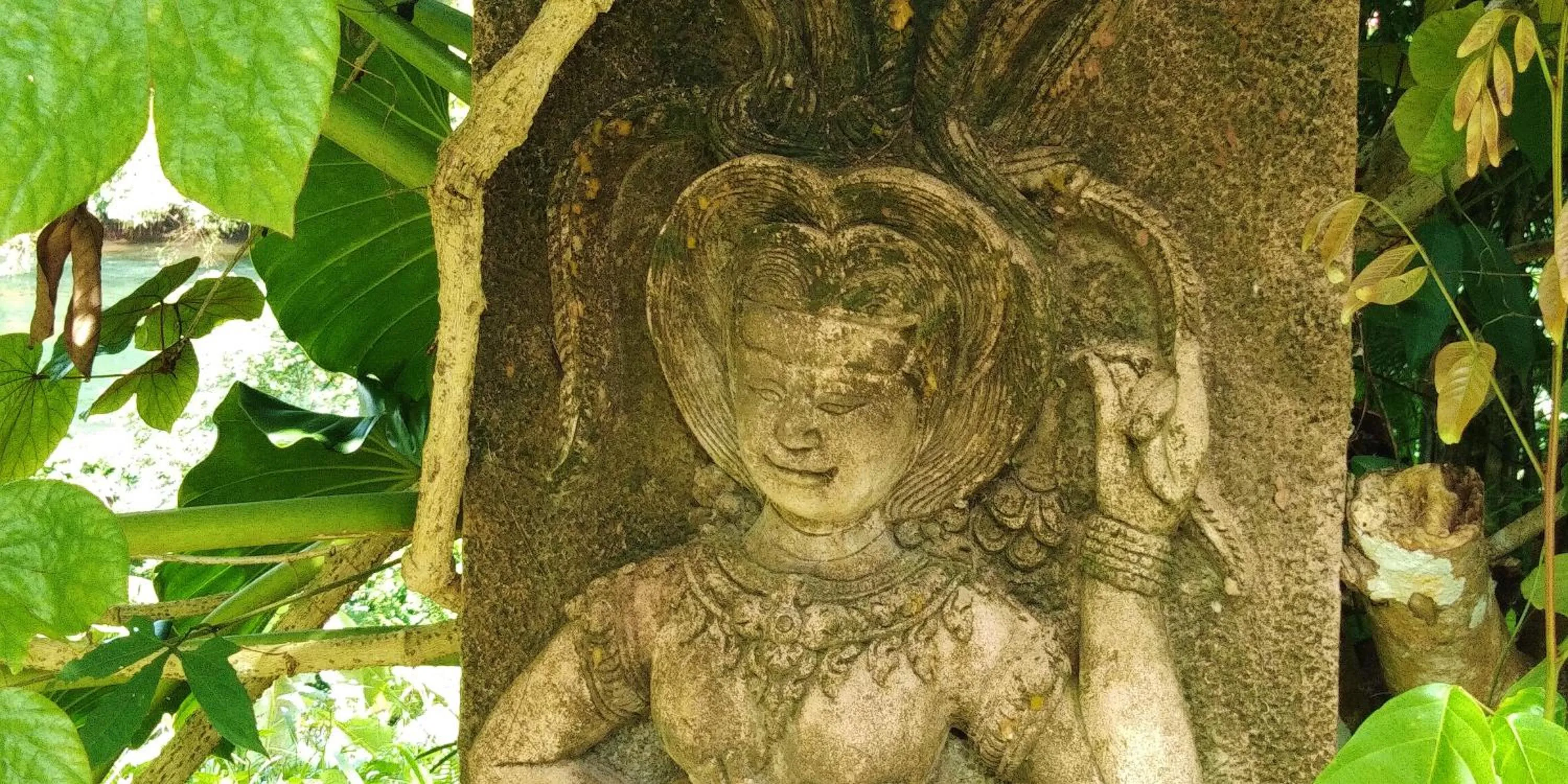 Garden view in Baandin Chiewlarn