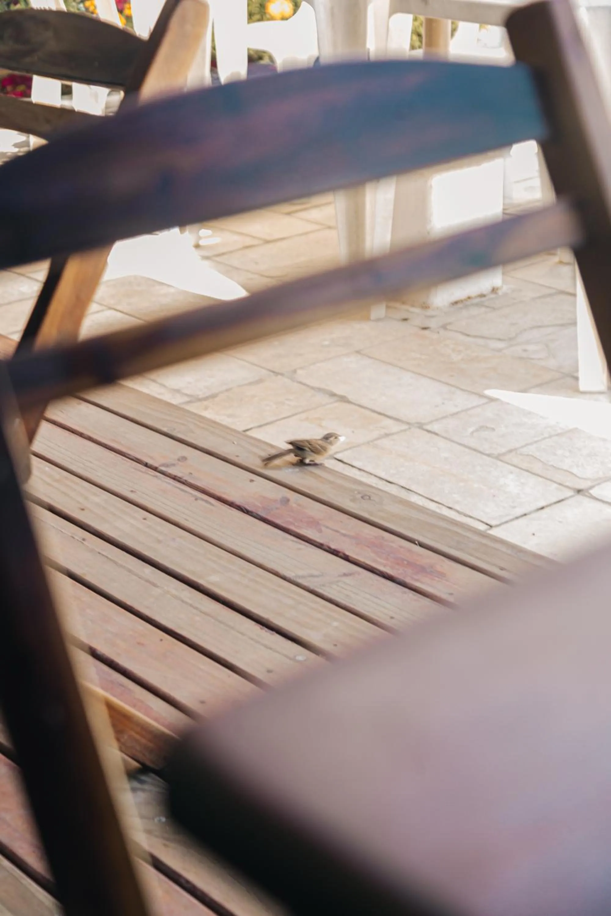 Property building in Pousada Recanto Porto de Galinhas