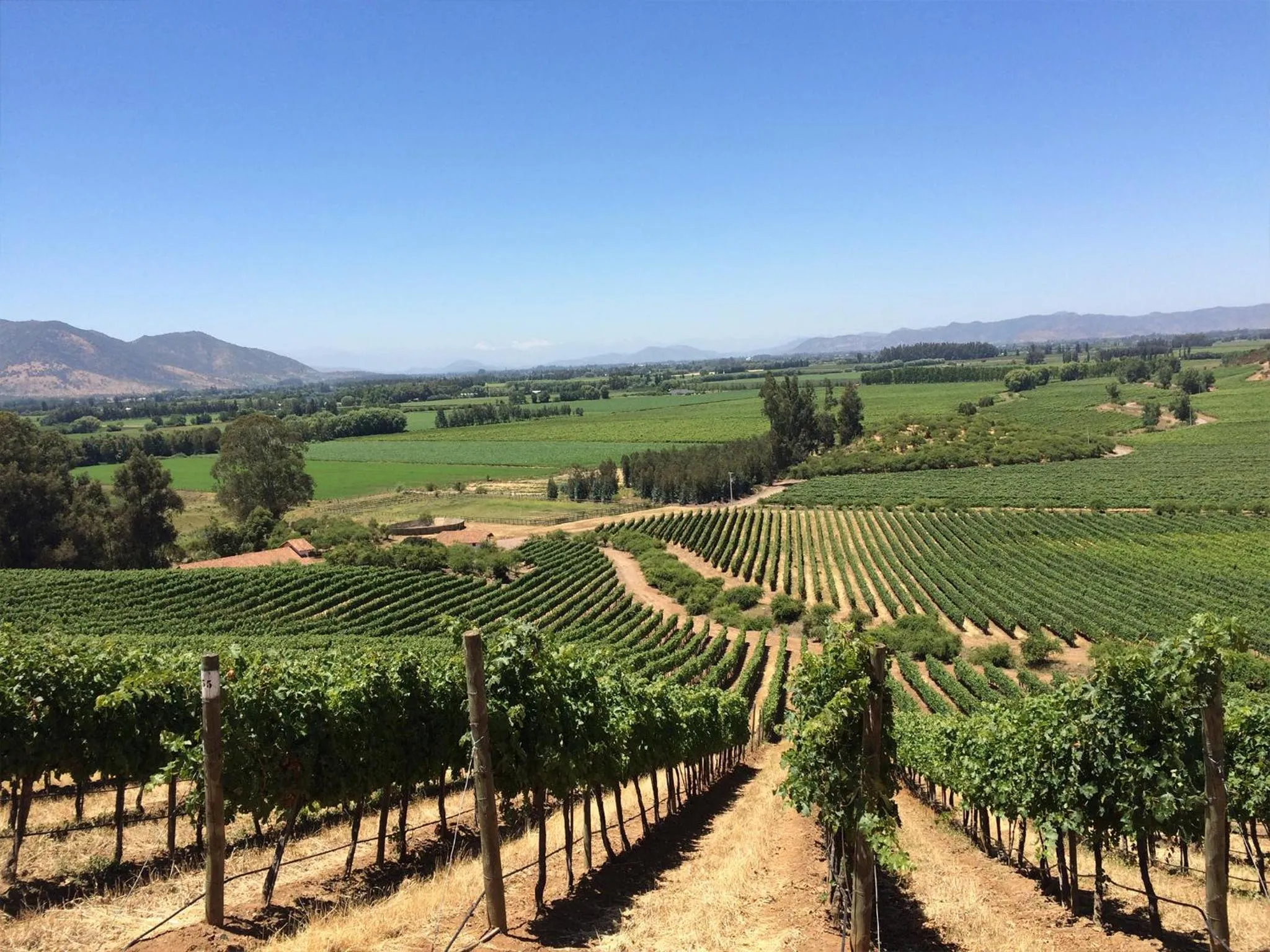 Nearby landmark in NOI Blend Colchagua