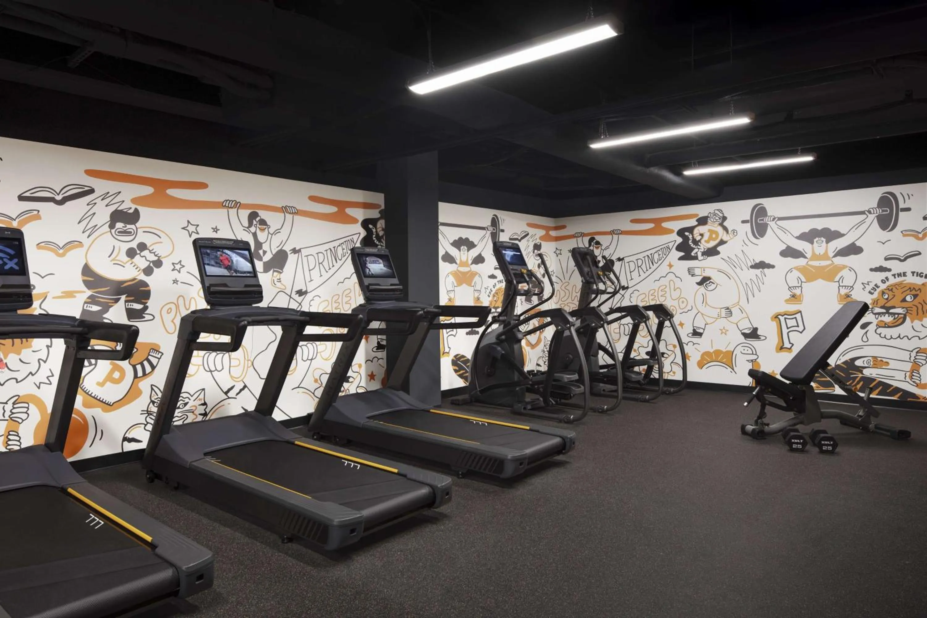 Fitness centre/facilities in Graduate by Hilton Princeton