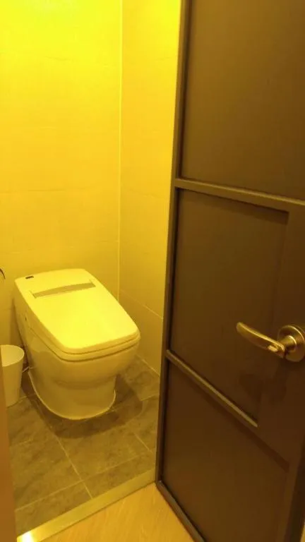 Toilet in Hotel Gray