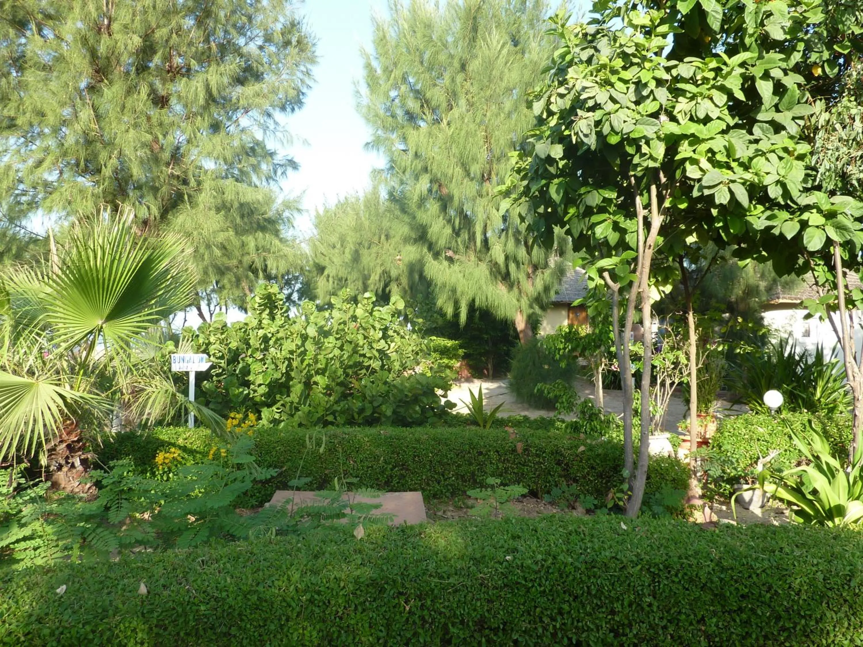 Garden in Hotel Cap Saint Louis