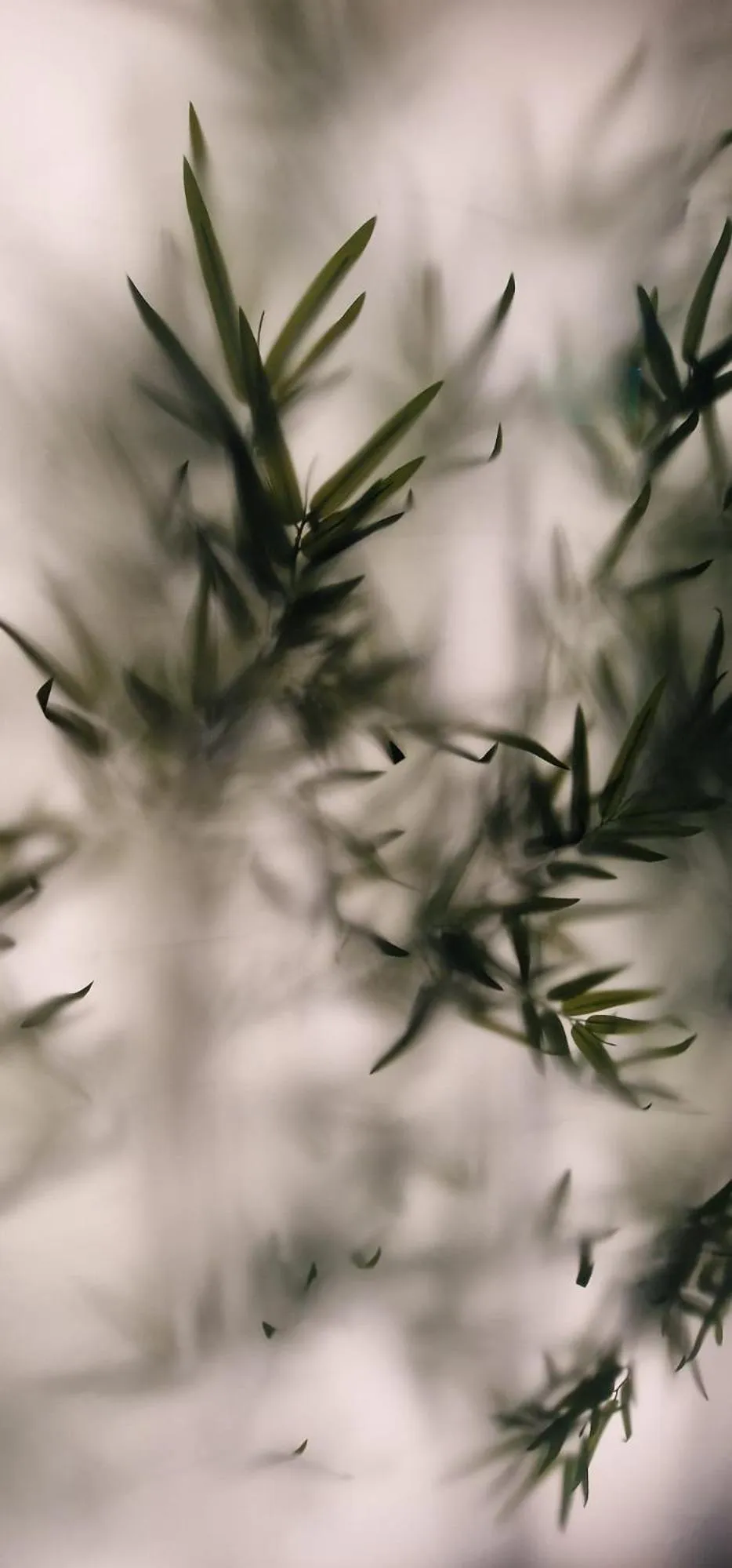 Lobby or reception in Noru Hotel Malta - Adults Only Hotel