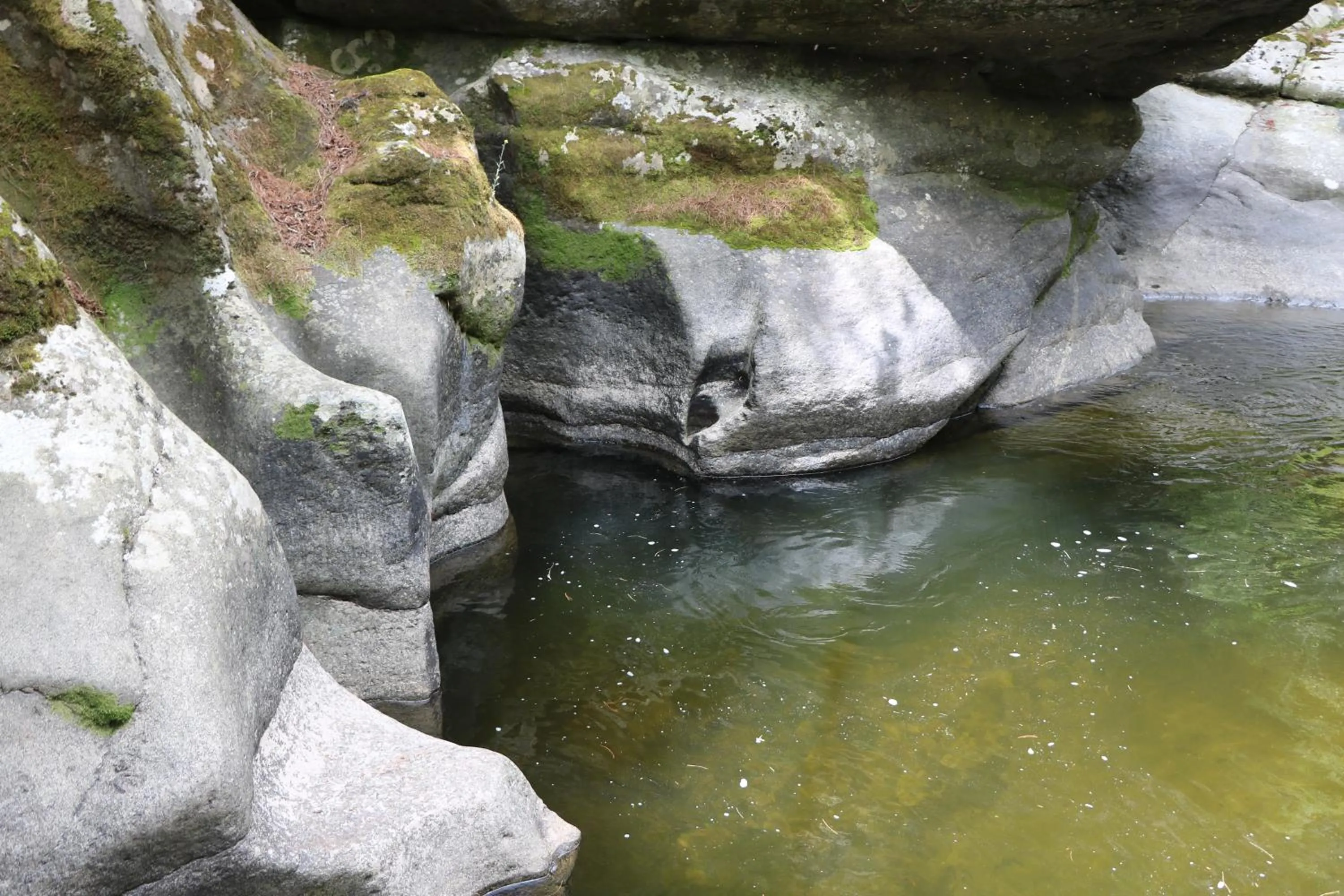 Property building in Tiger's Nest Resort - Best Resort In Paro