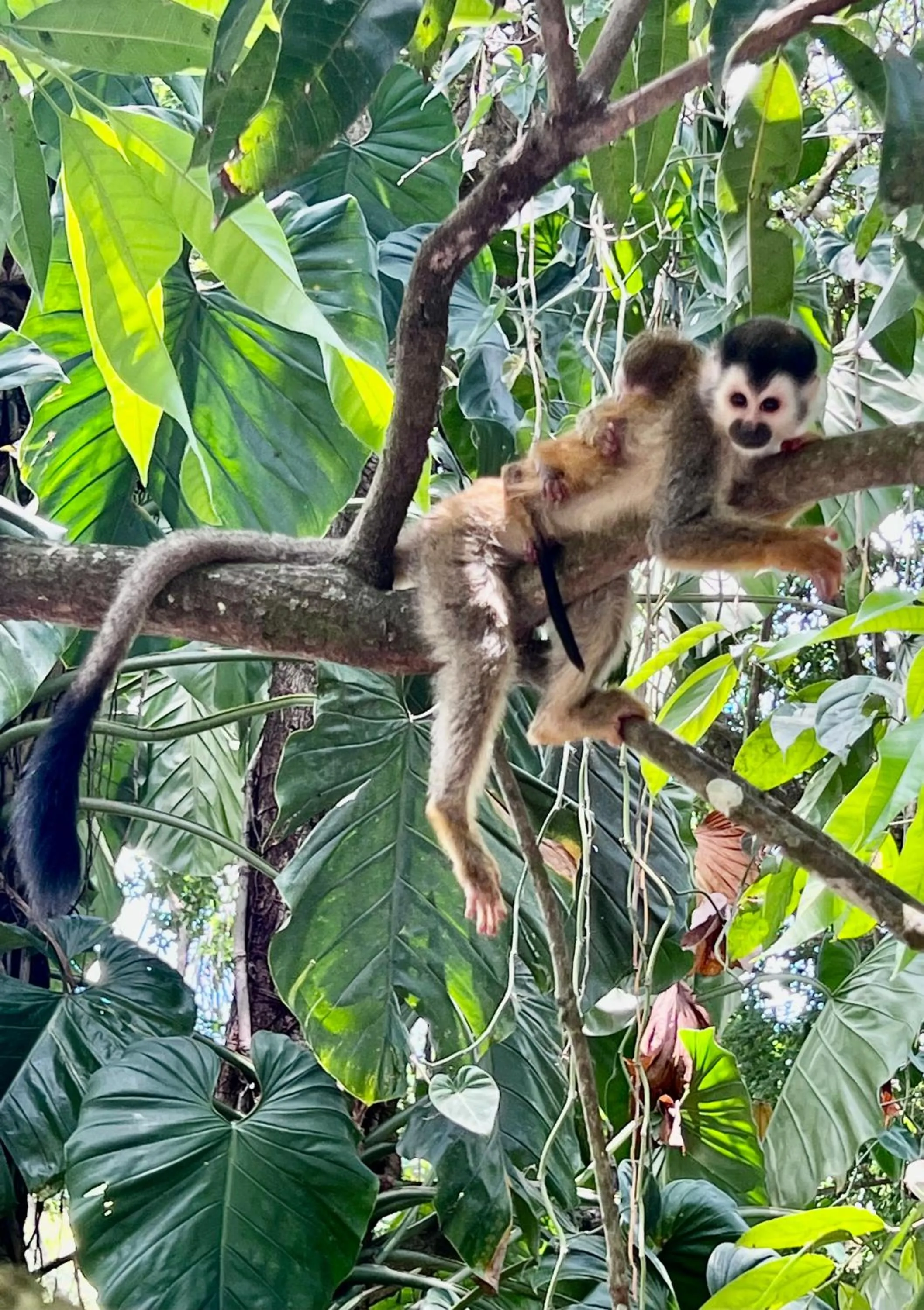 Natural landscape in ECOTICA Boutique Hotel & Spa