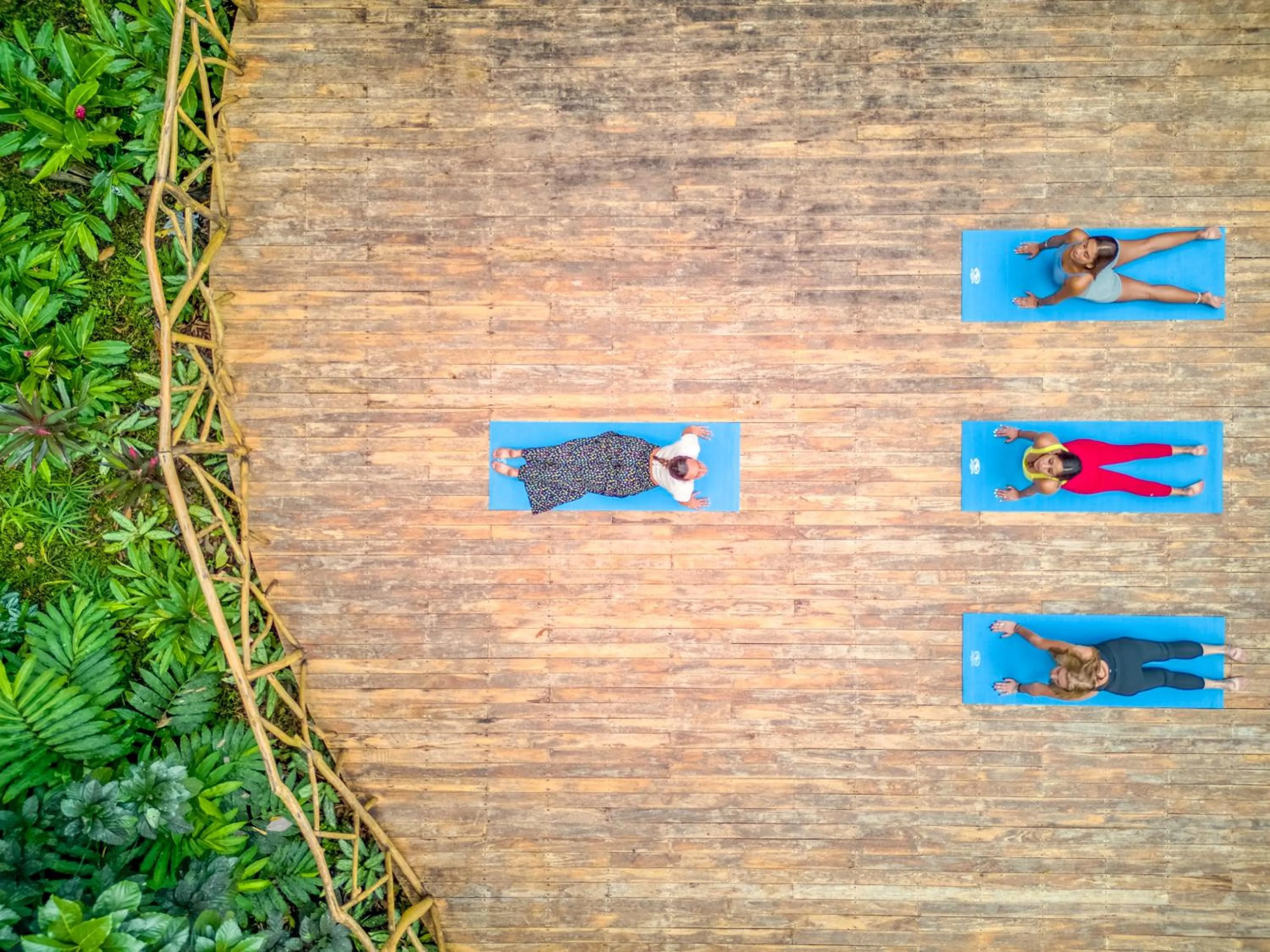 Garden in ECOTICA Boutique Hotel & Spa