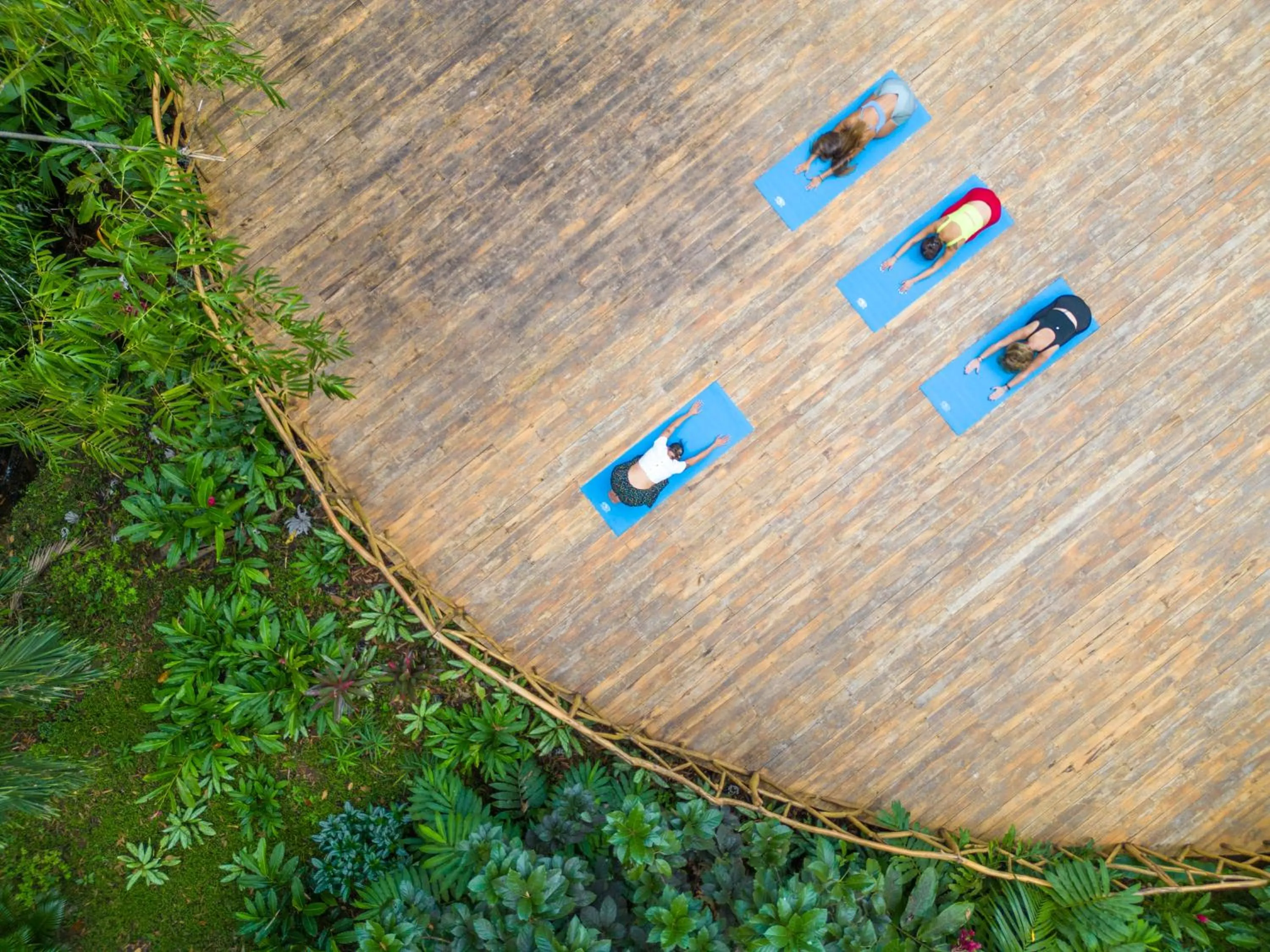 Natural landscape in ECOTICA Boutique Hotel & Spa