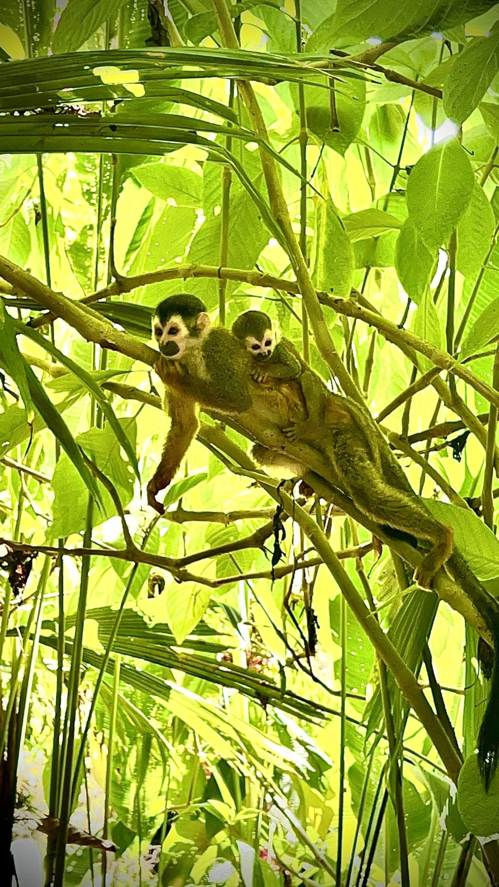 Natural landscape in ECOTICA Boutique Hotel & Spa