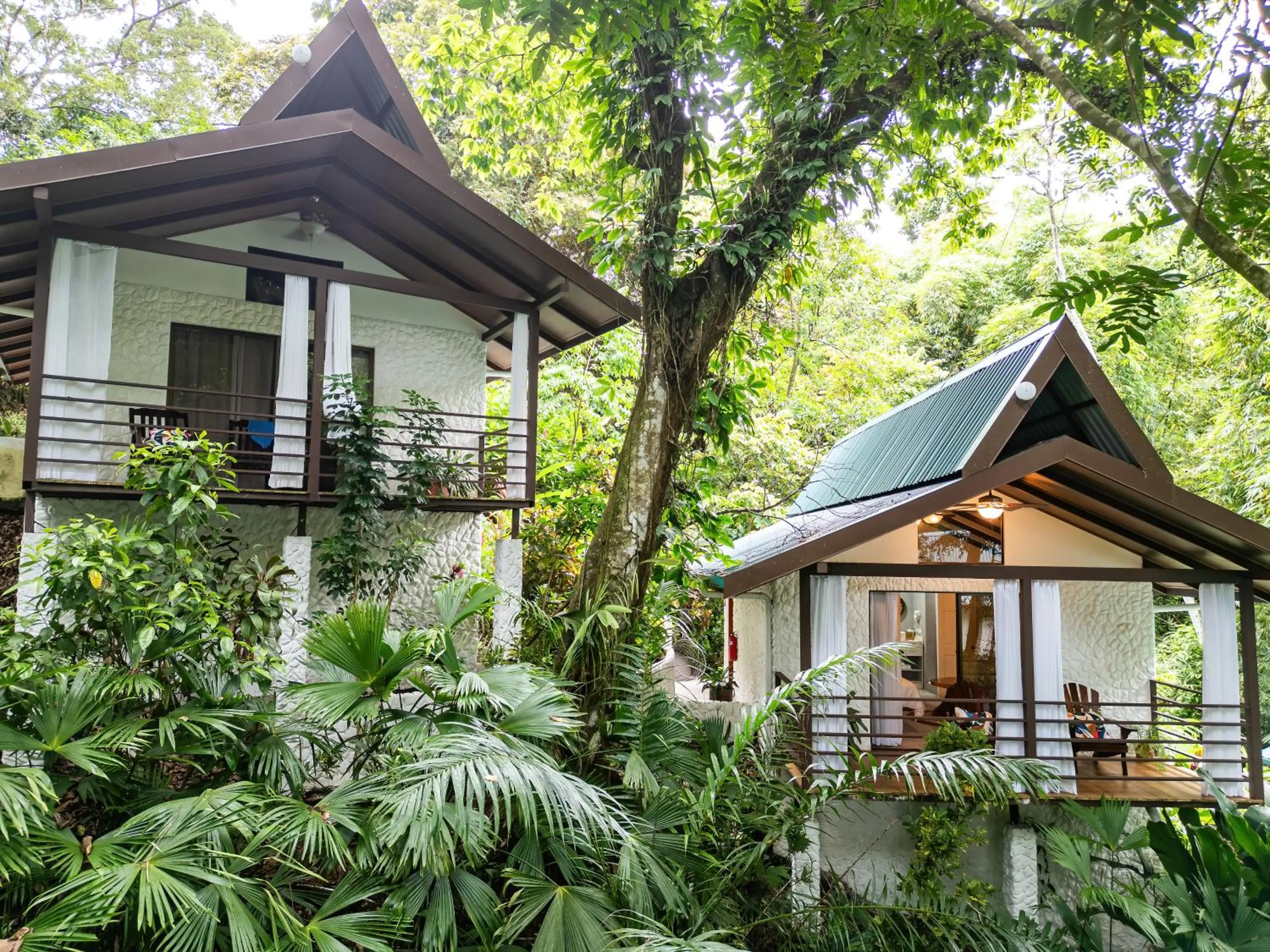 Natural landscape in ECOTICA Boutique Hotel & Spa