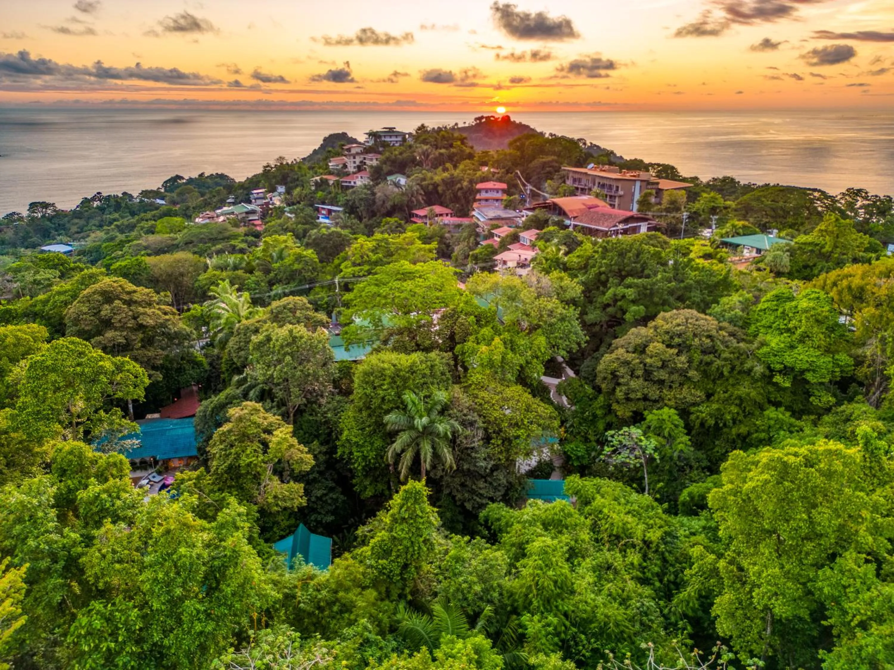 Natural landscape in ECOTICA Boutique Hotel & Spa