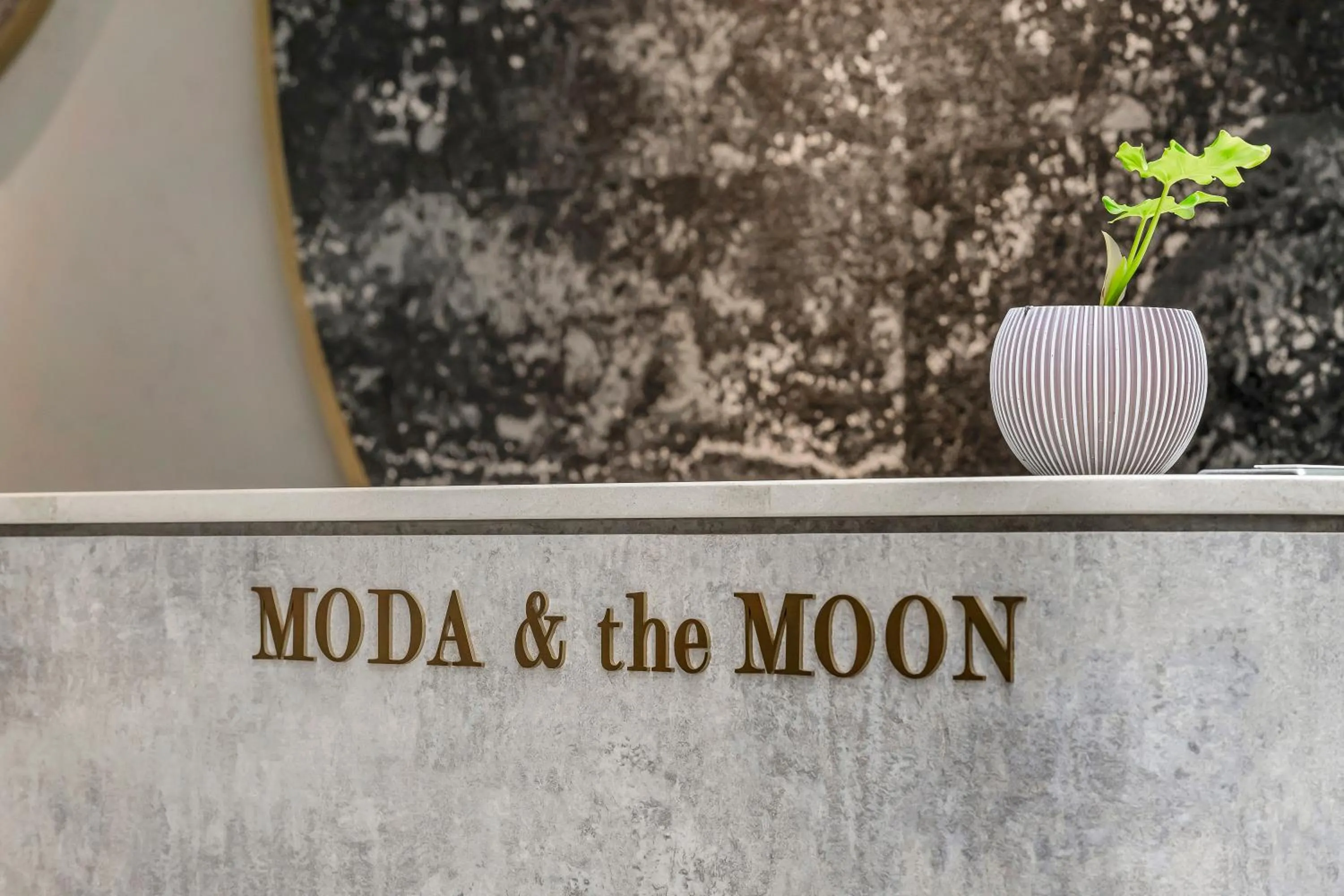Moda & the Moon B&B