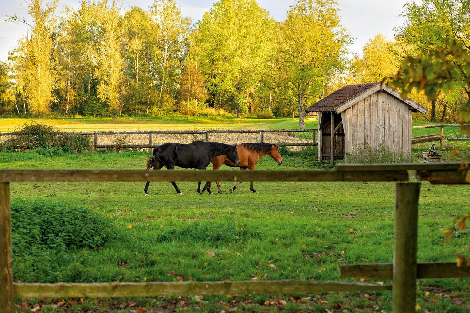 Chalet An der Brunnader - Ihr perfekter Rückzugsort in der Bayerischen Toskana