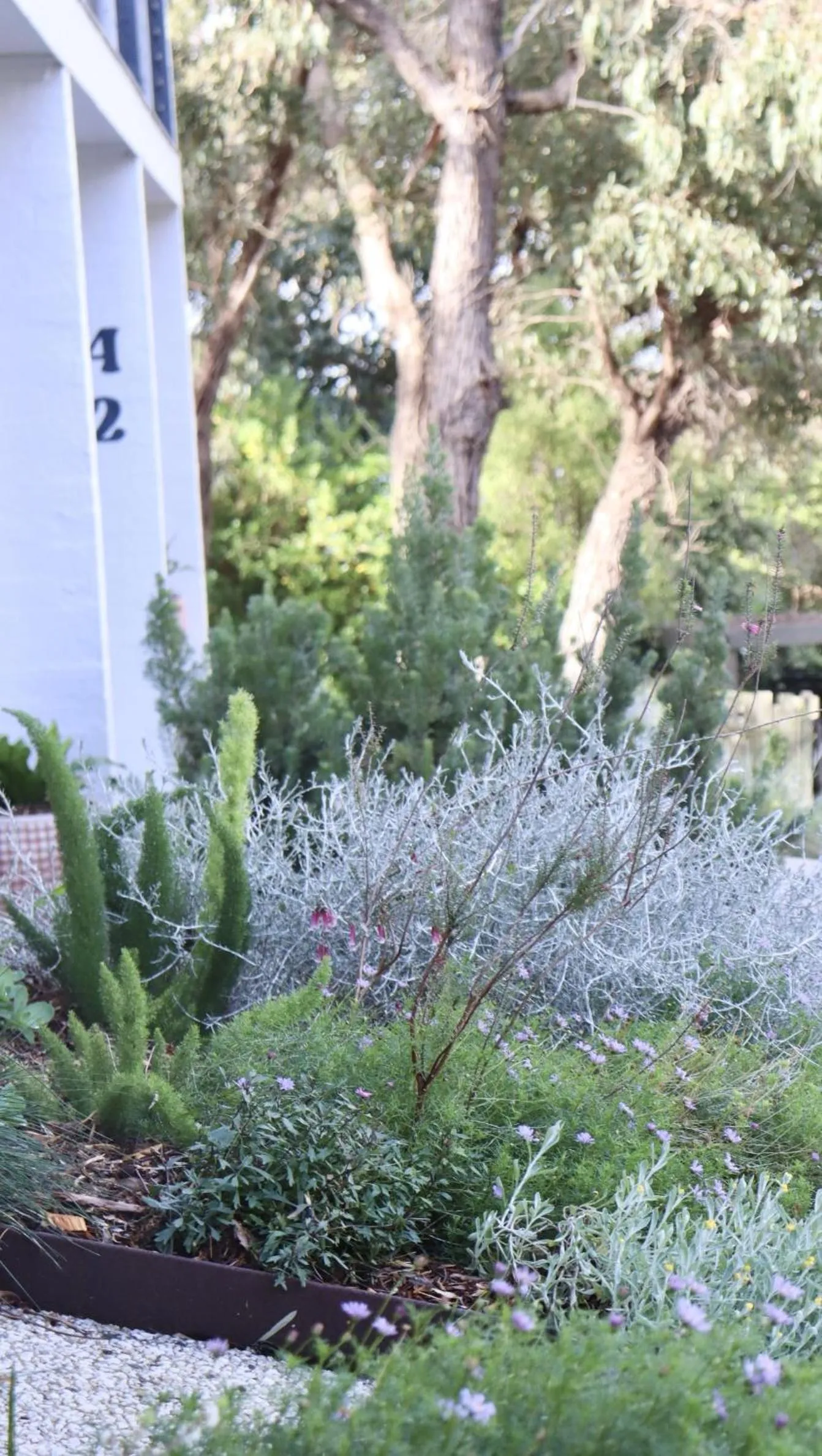 Garden Terrace Studio with Walk In Shower & Ocean  View in Lorne Surf Apartments