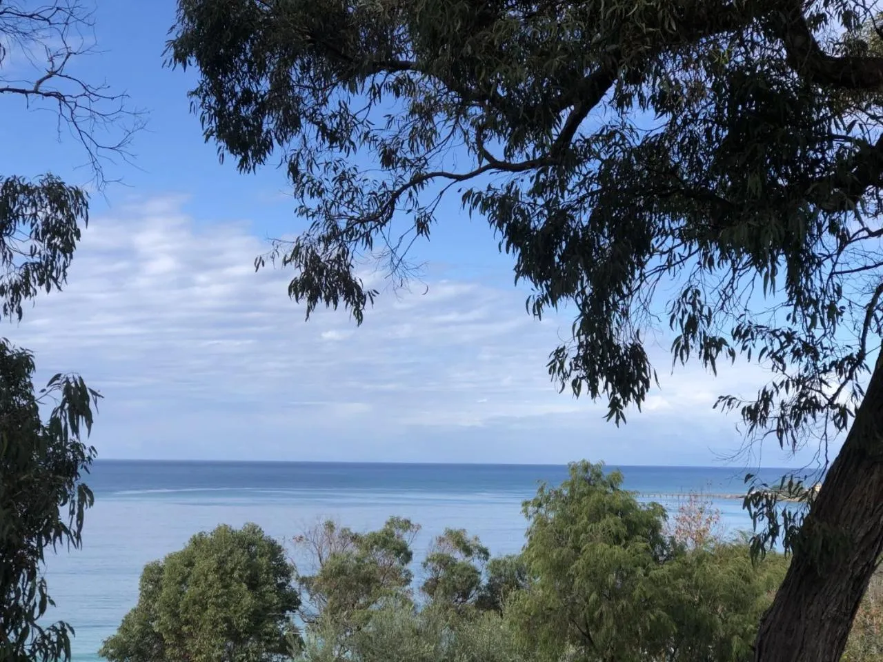 Sea view in Lorne Surf Apartments