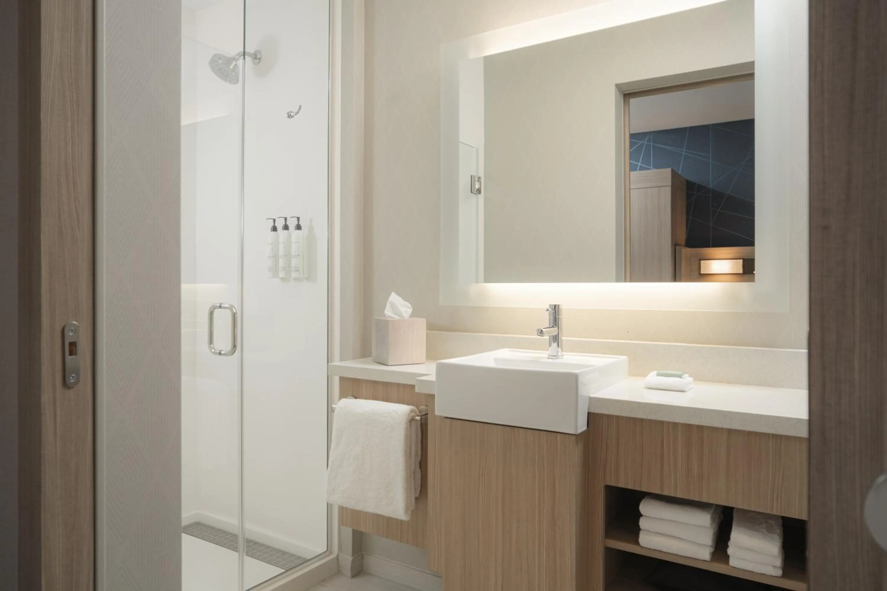Shower in SpringHill Suites by Marriott Tampa Downtown