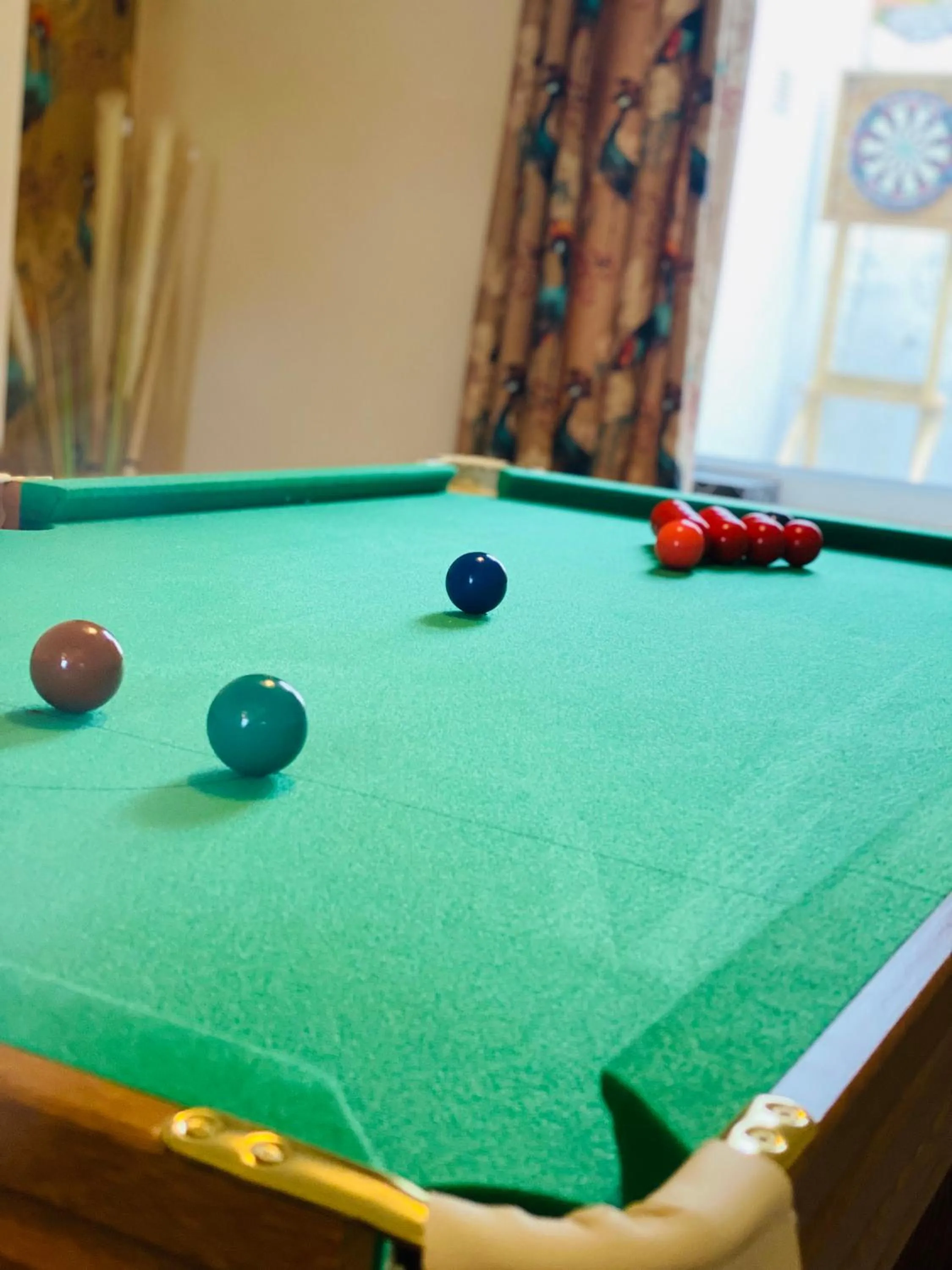 Game Room in Mount Pleasant Retreat