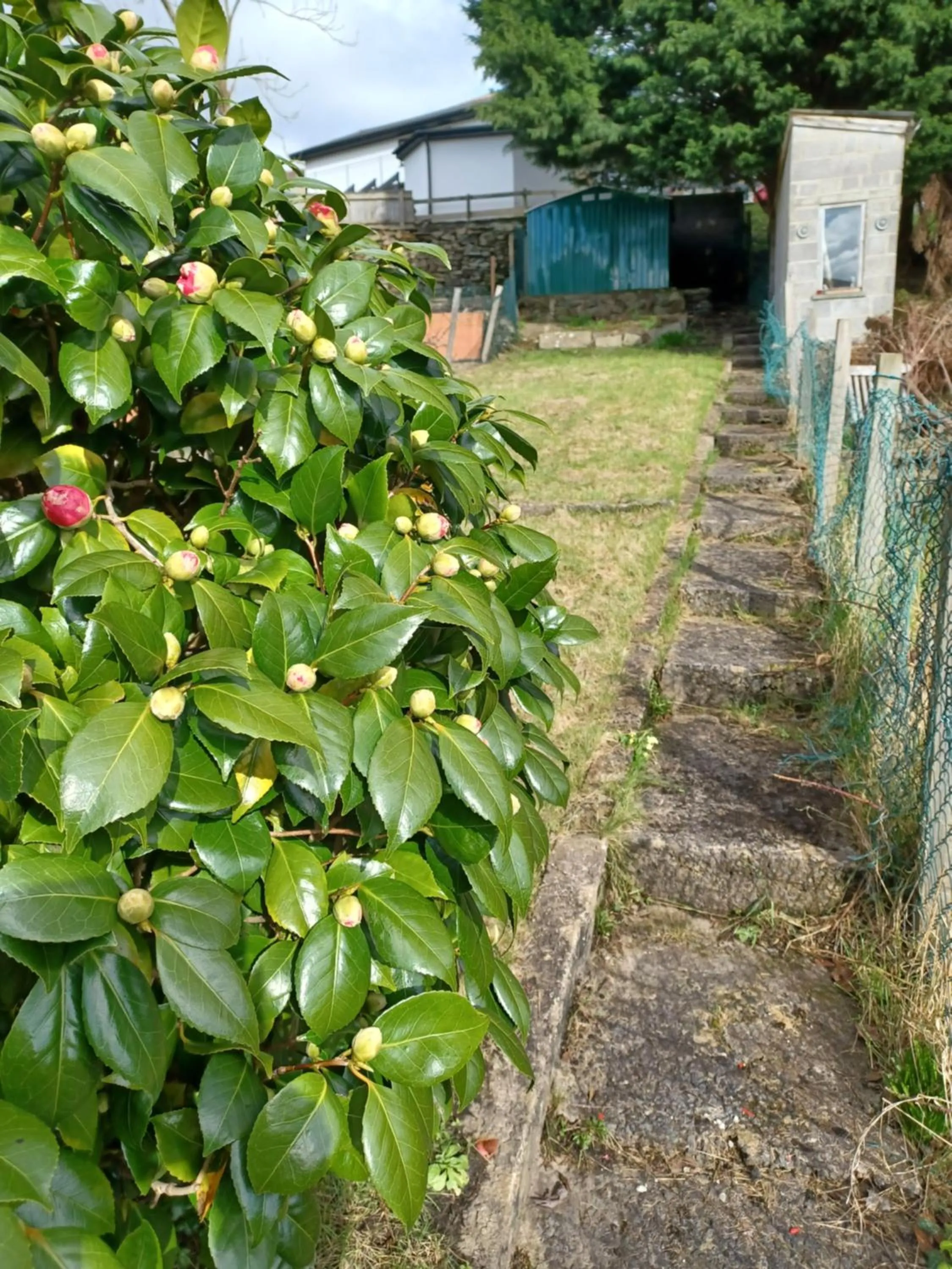 Garden in Mount Pleasant Retreat