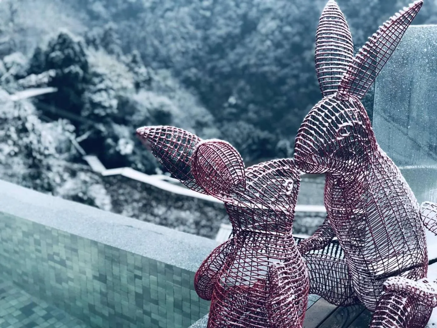 Winter in No.5 Valley Lodge