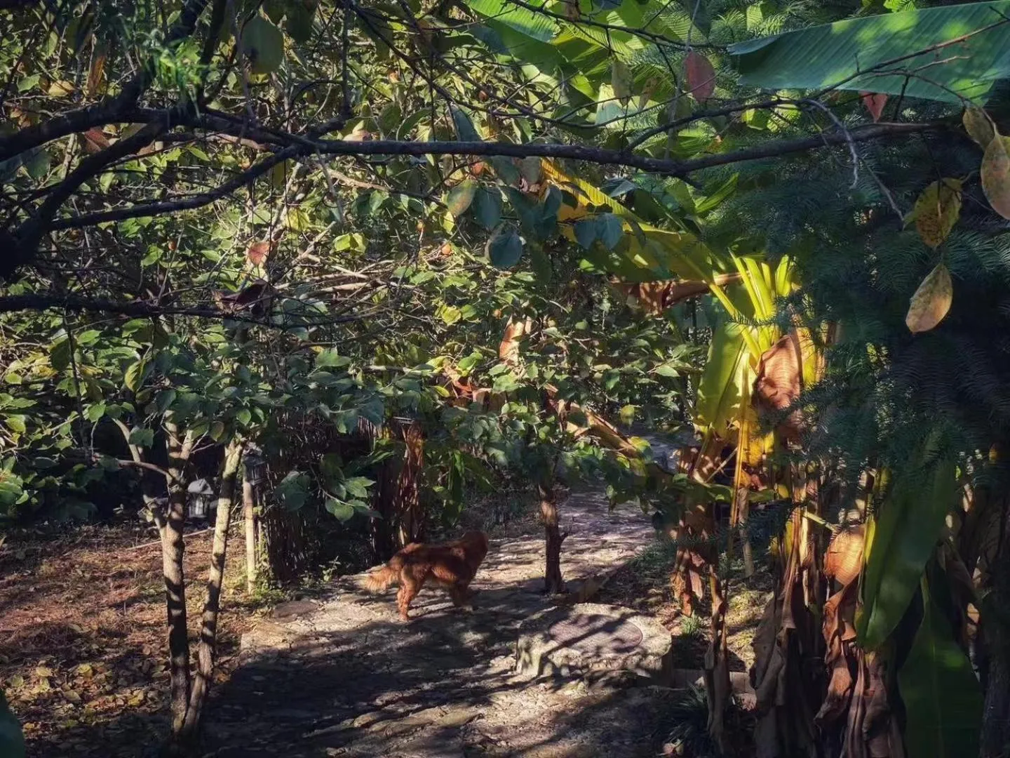 Natural landscape in No.5 Valley Lodge