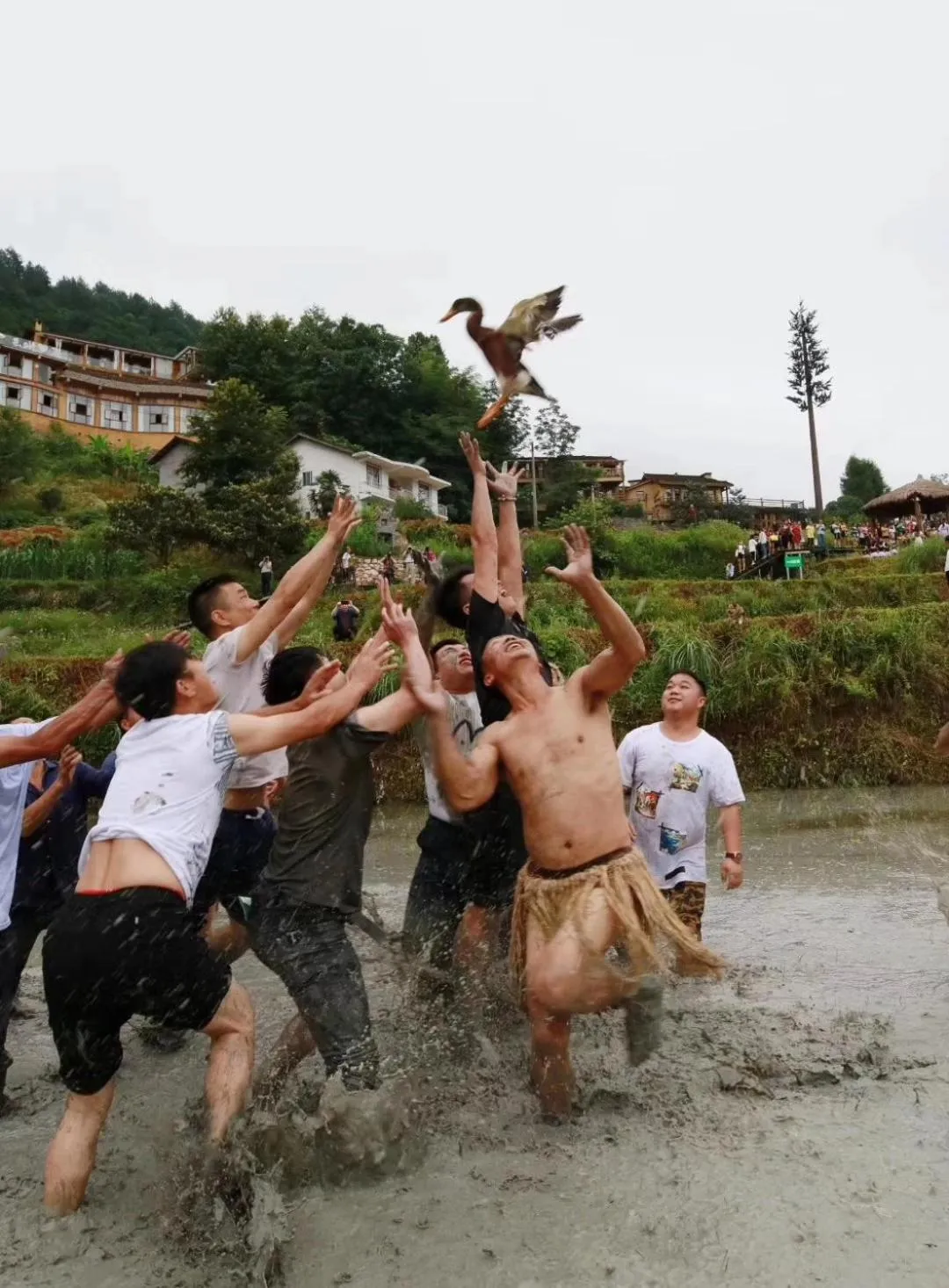 Activities in No.5 Valley Lodge