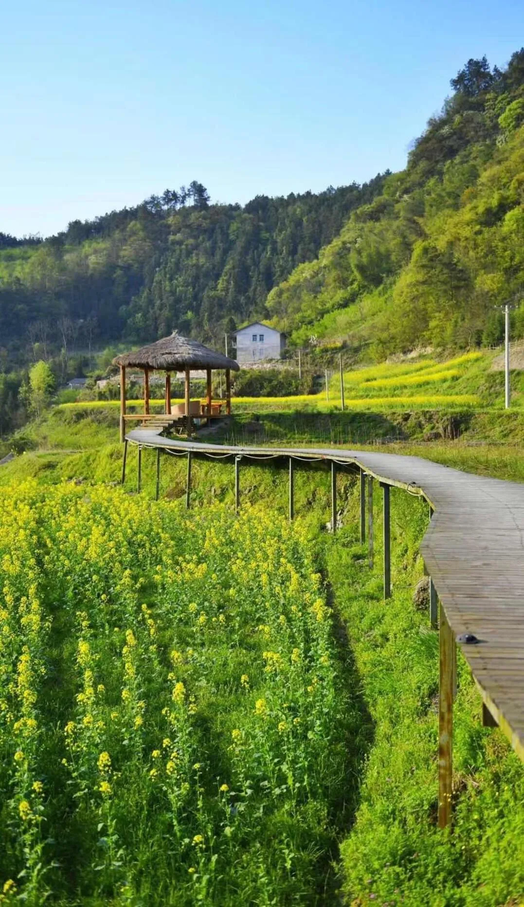 Natural landscape in No.5 Valley Lodge