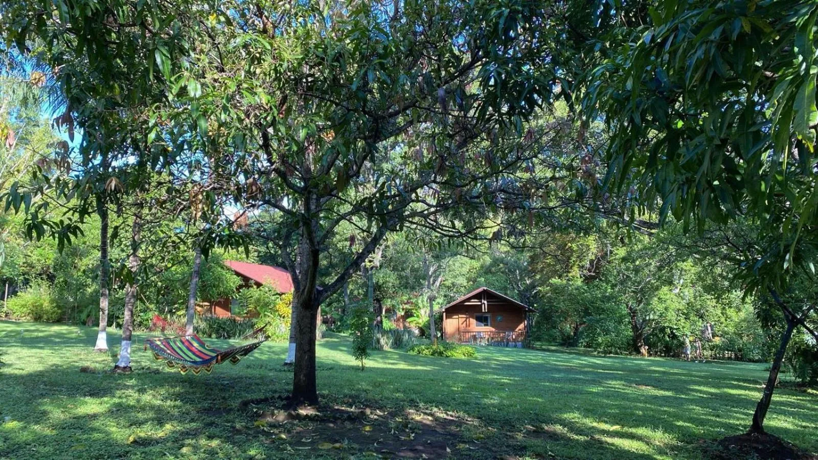 Garden in Hotel Amigo Nicaragua