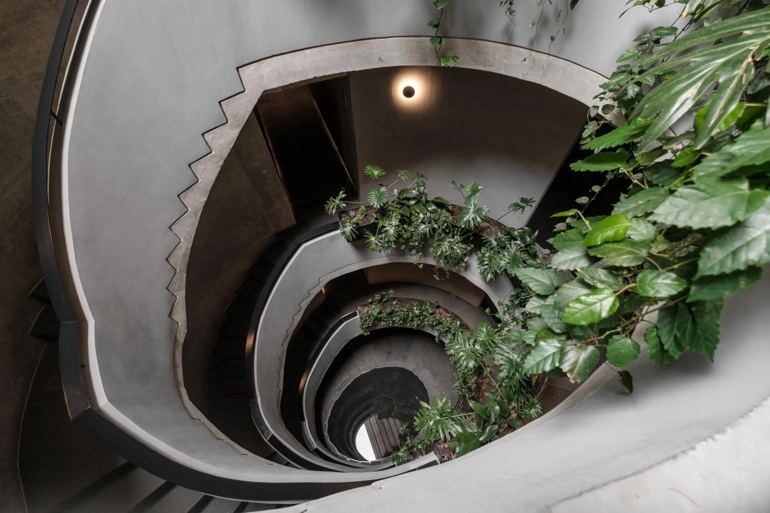 Property building in Hotel Casa Izel Roma Norte