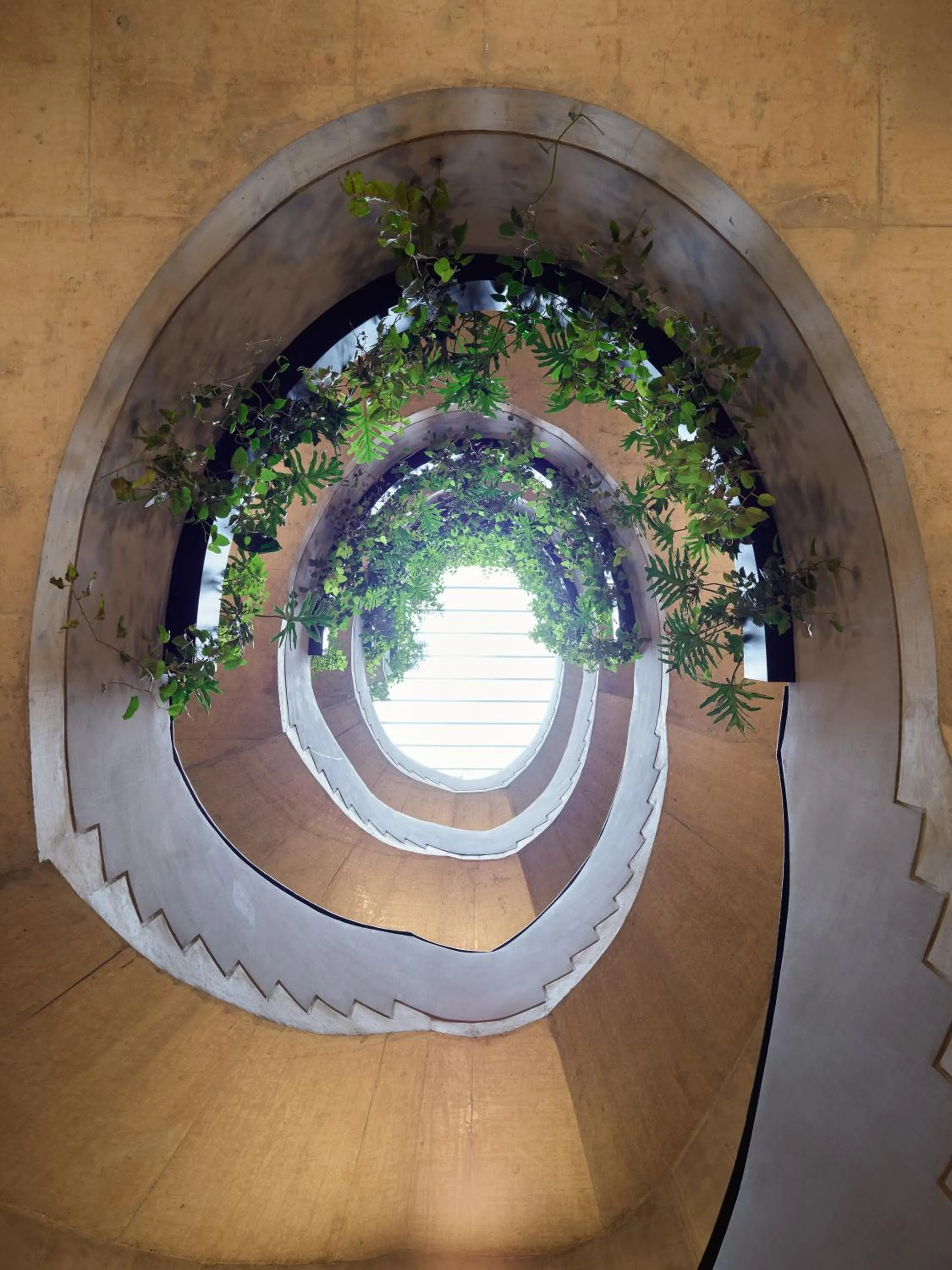 Property building in Maison México Roma