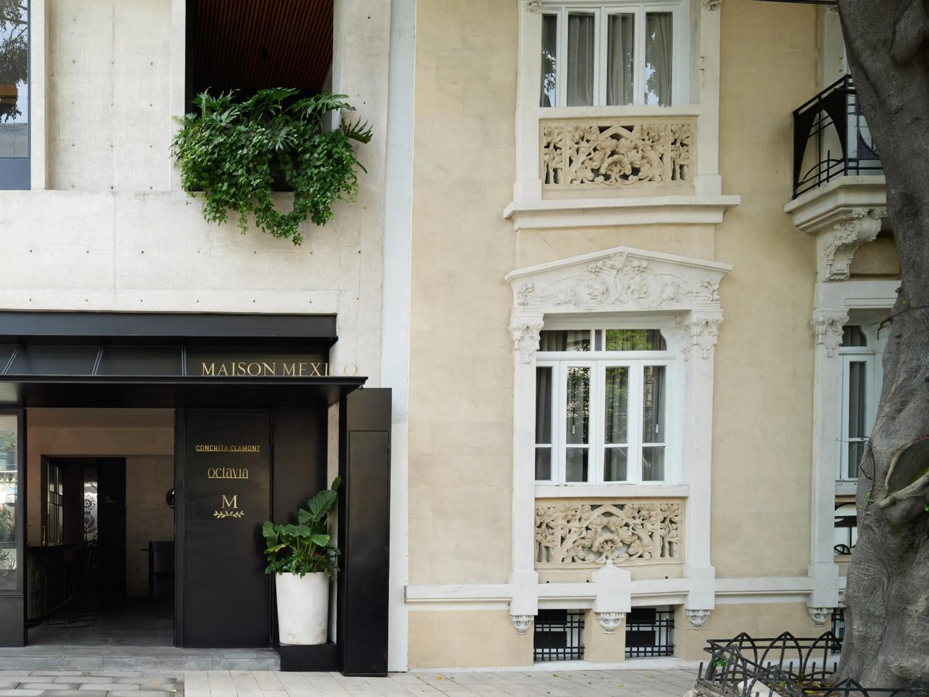Property building in Maison México Roma