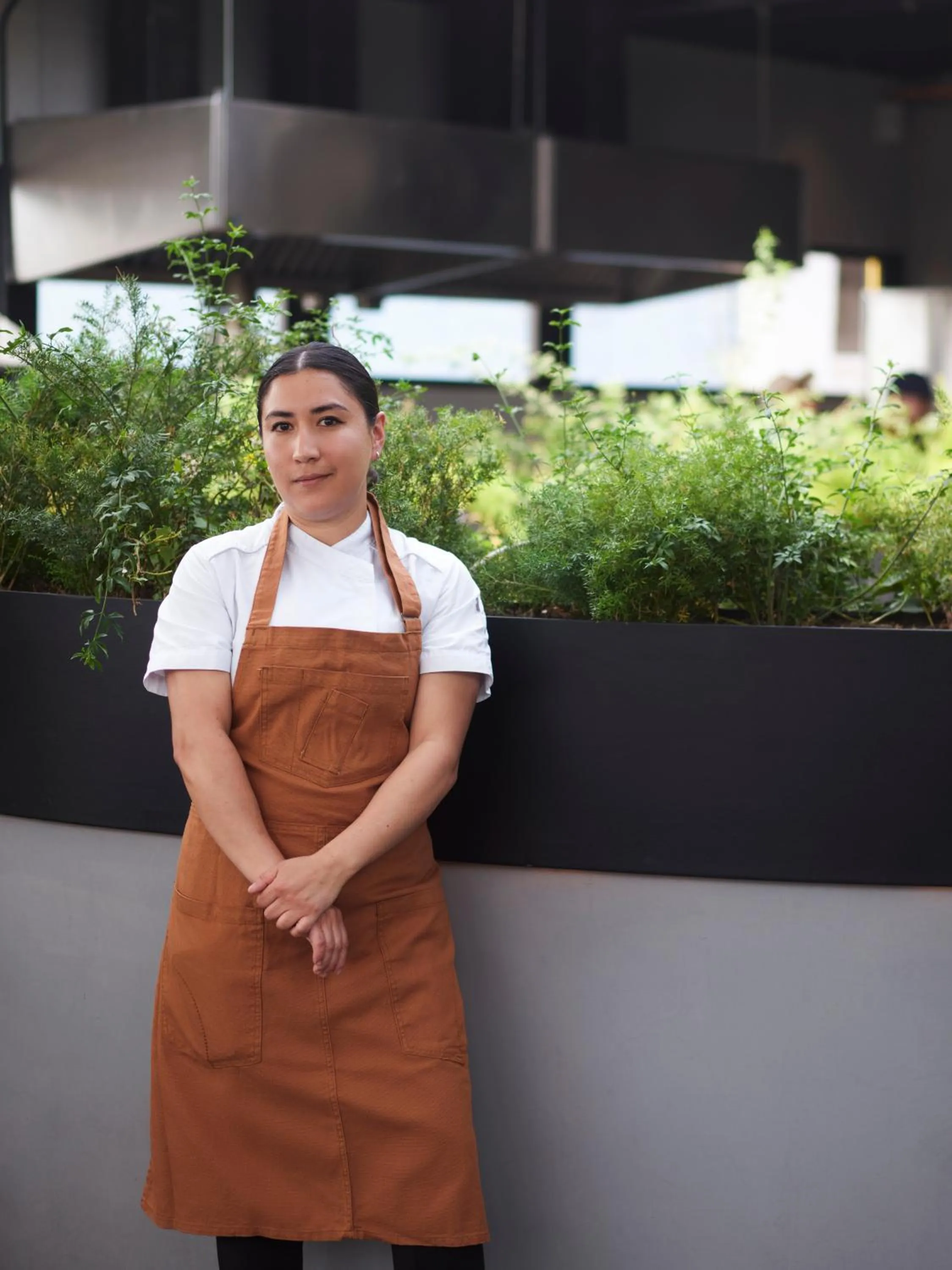 Restaurant/places to eat in Maison México Roma