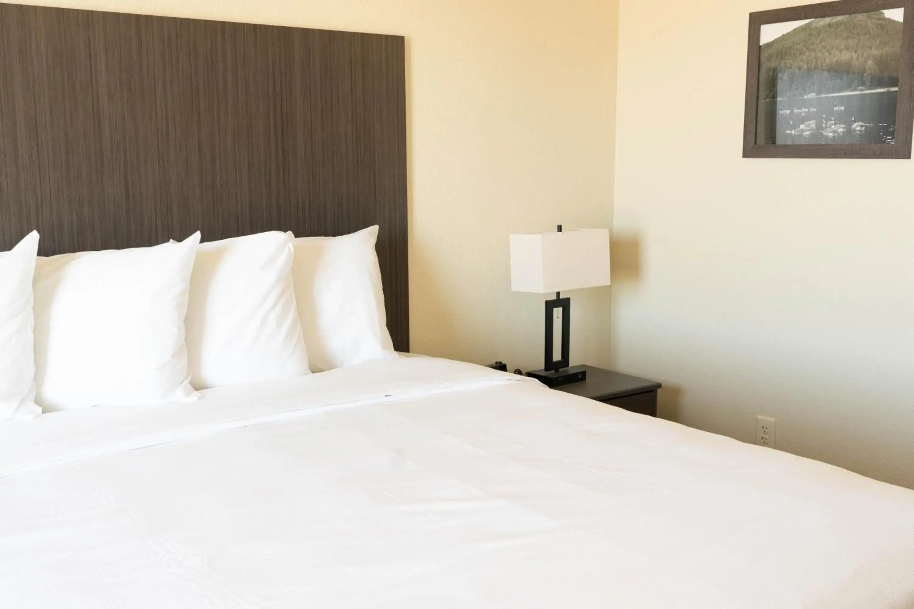 Deluxe King Room in Iron Creek Inn & Suites Deluxe King Room in Iron Creek Inn & Suites