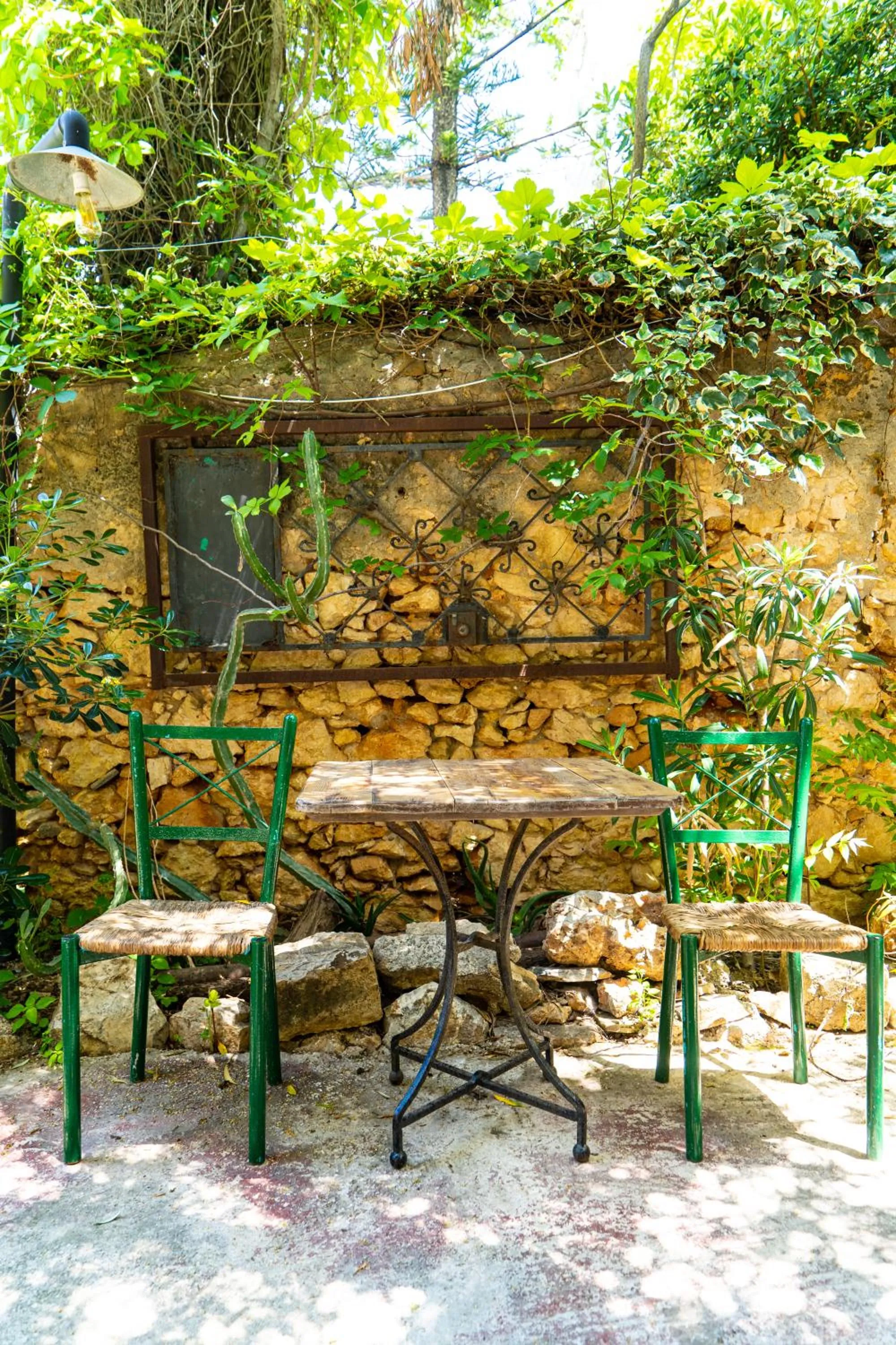 Garden in Chania Hostel Youth 18-50