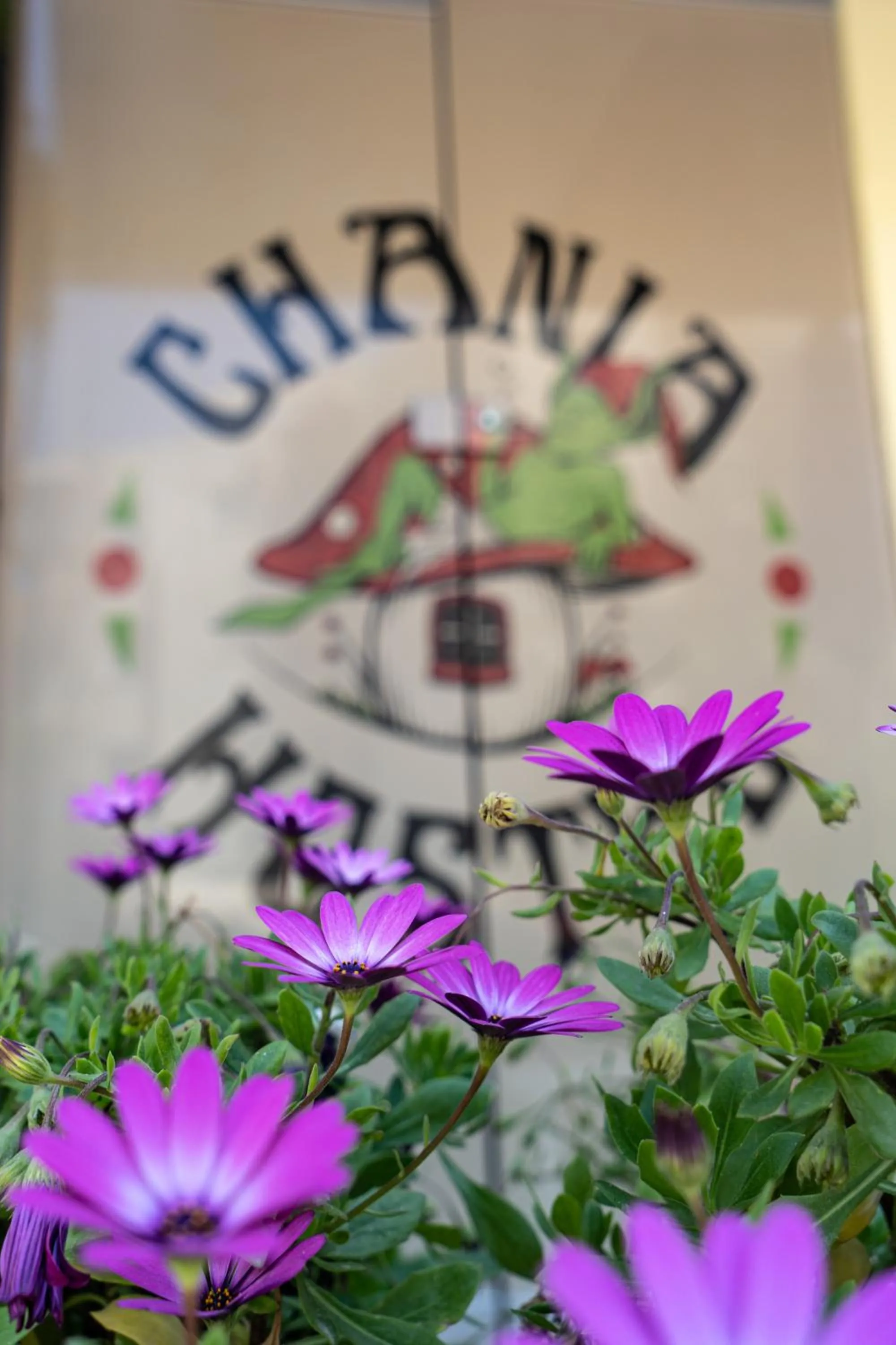 Facade/entrance in Chania Hostel Youth 18-50