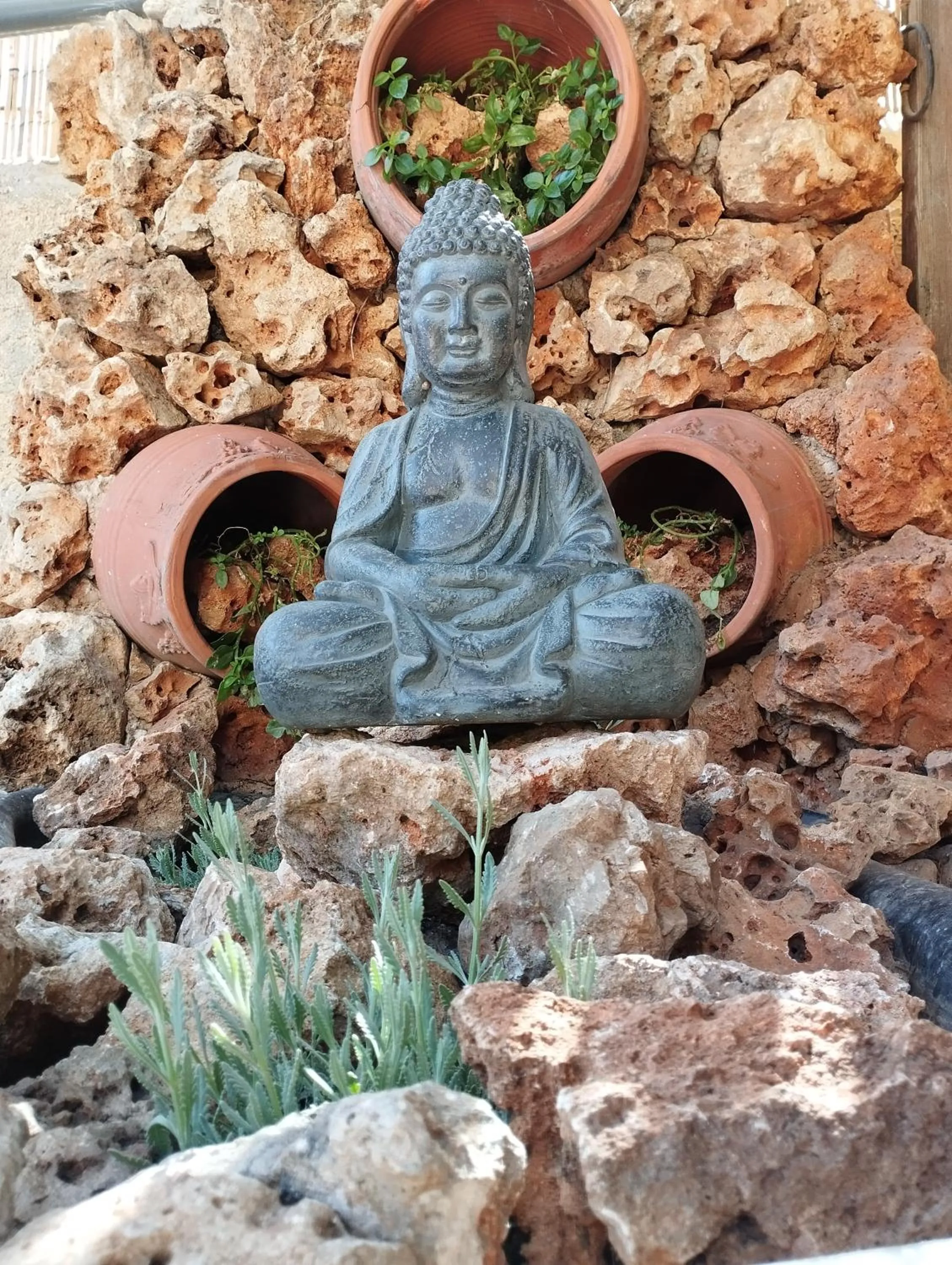Garden in Chania Hostel Youth 18-50