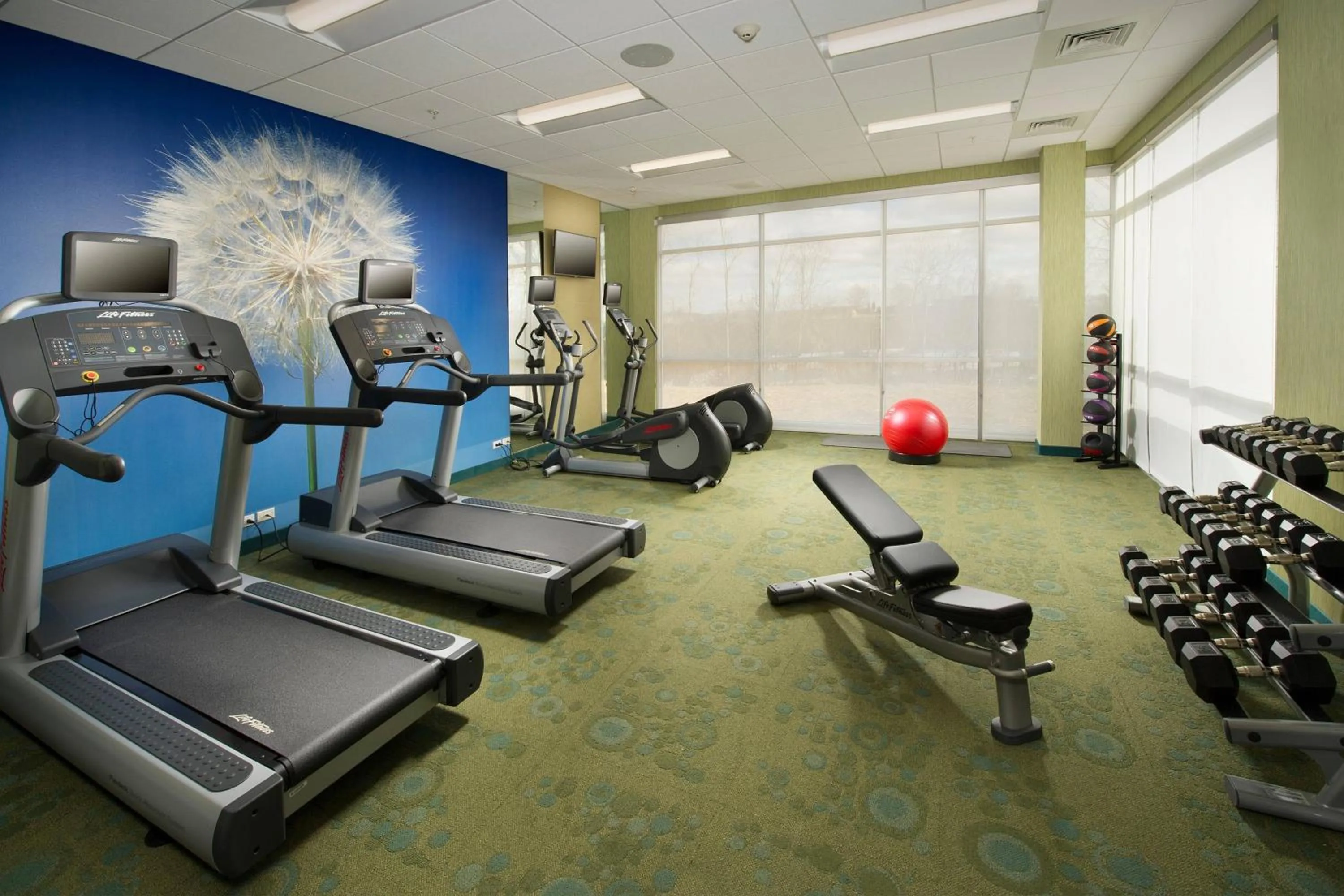 Fitness centre/facilities in SpringHill Suites by Marriott Bridgeport Clarksburg