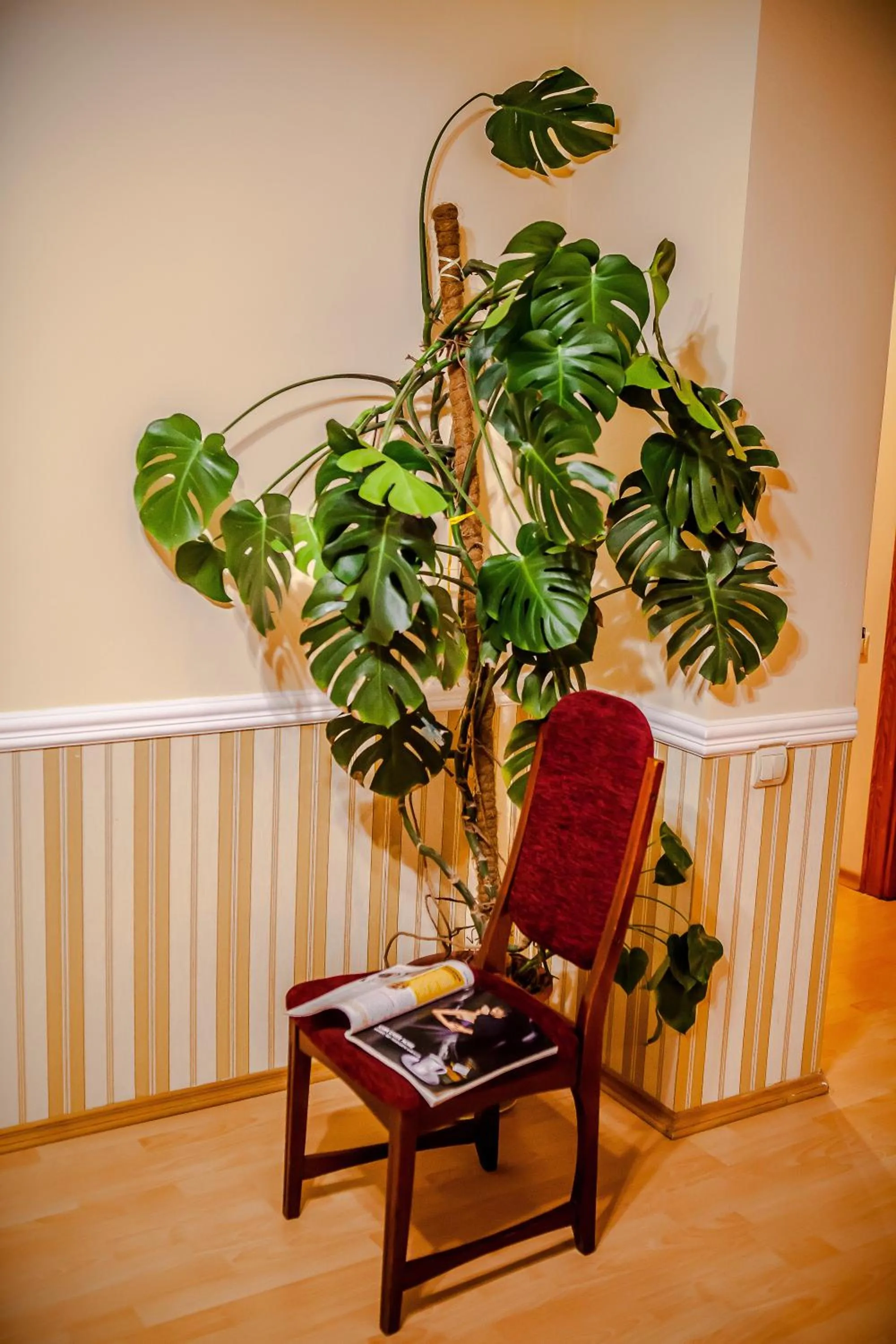 Seating area in Babylon Apartments