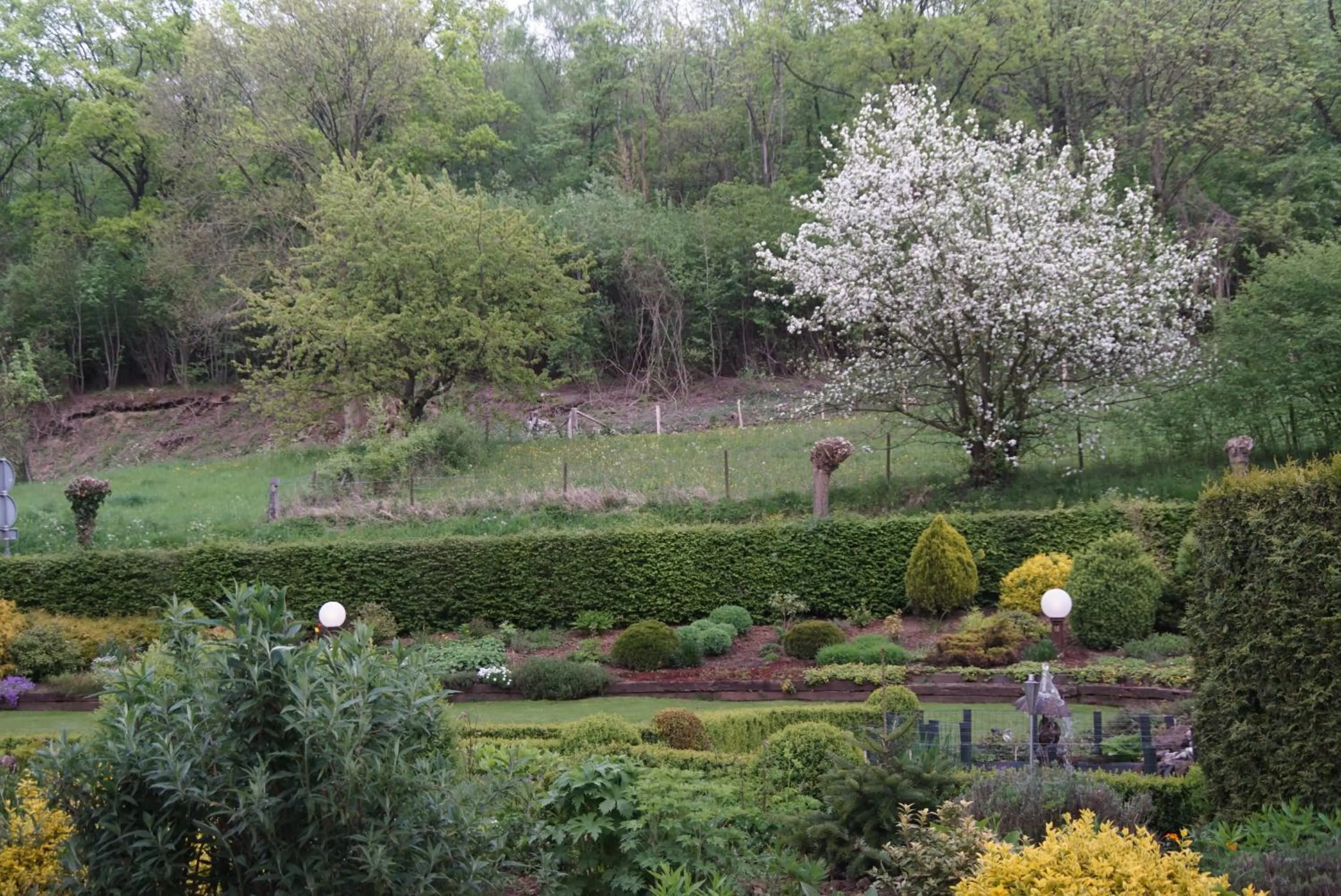 Natural landscape in Hotel Bemelmans